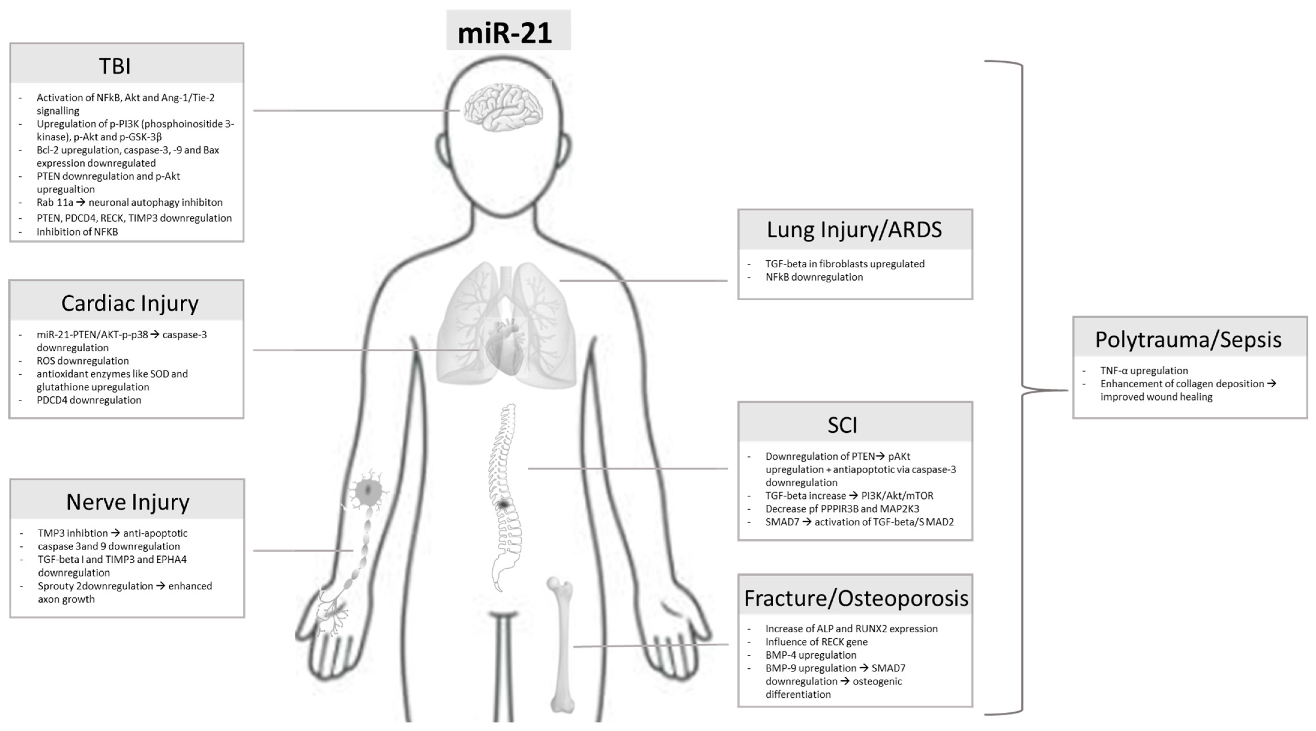 Ijms 25 11282 g002 Ijms 25 11282 g002