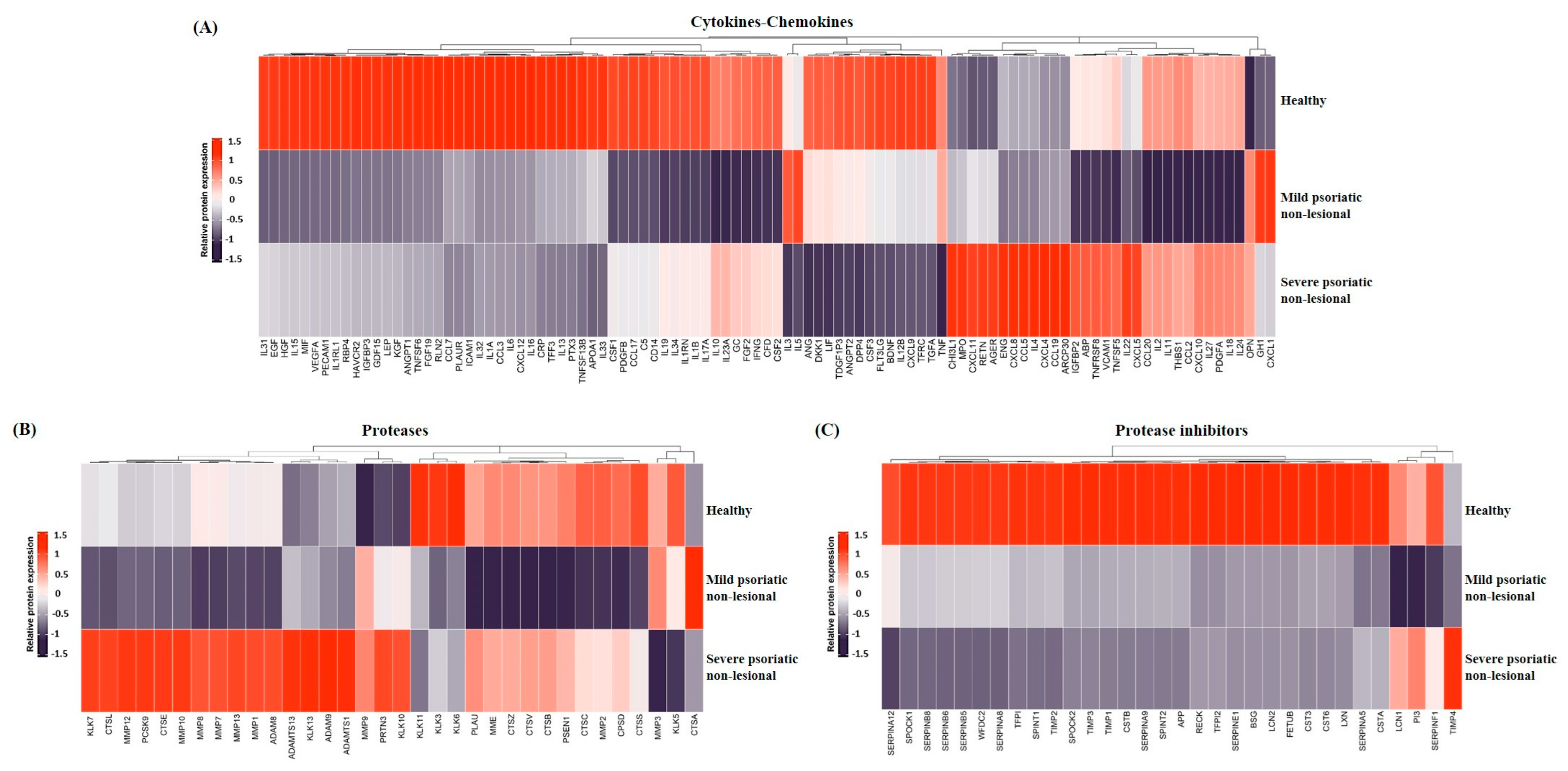 Ijms 25 11292 g001 Ijms 25 11292 g001