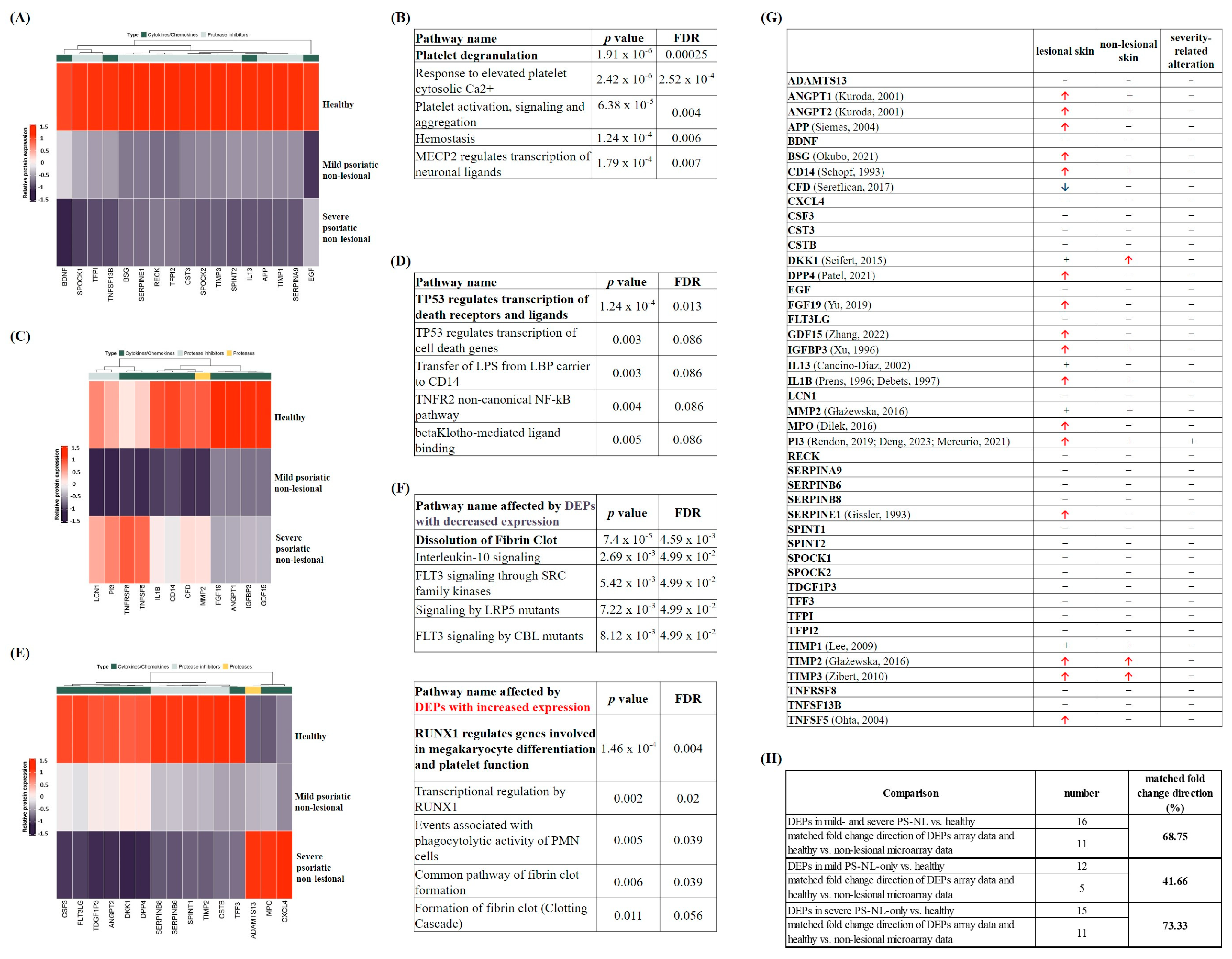 Ijms 25 11292 g002 Ijms 25 11292 g002