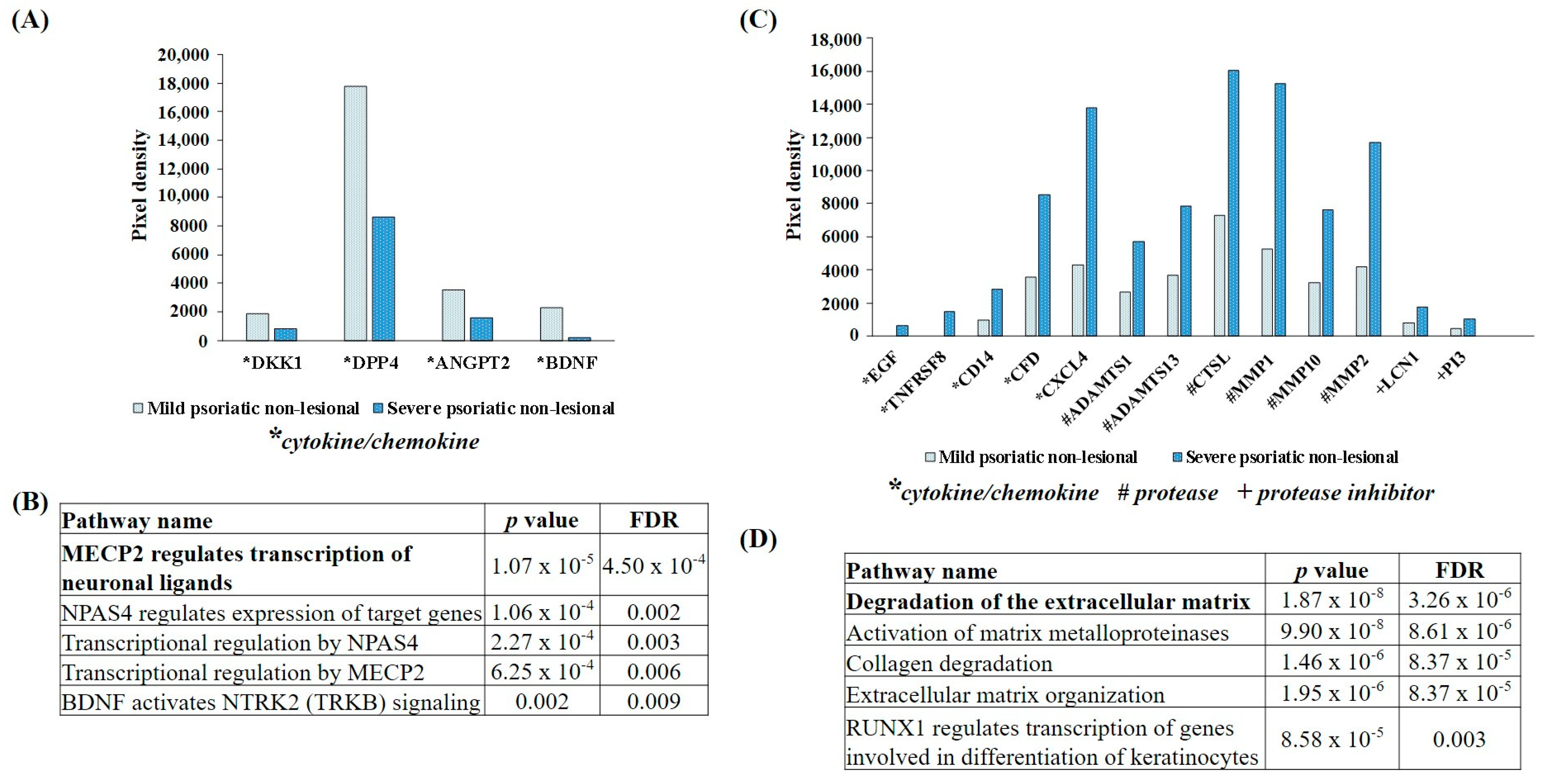 Ijms 25 11292 g003 Ijms 25 11292 g003