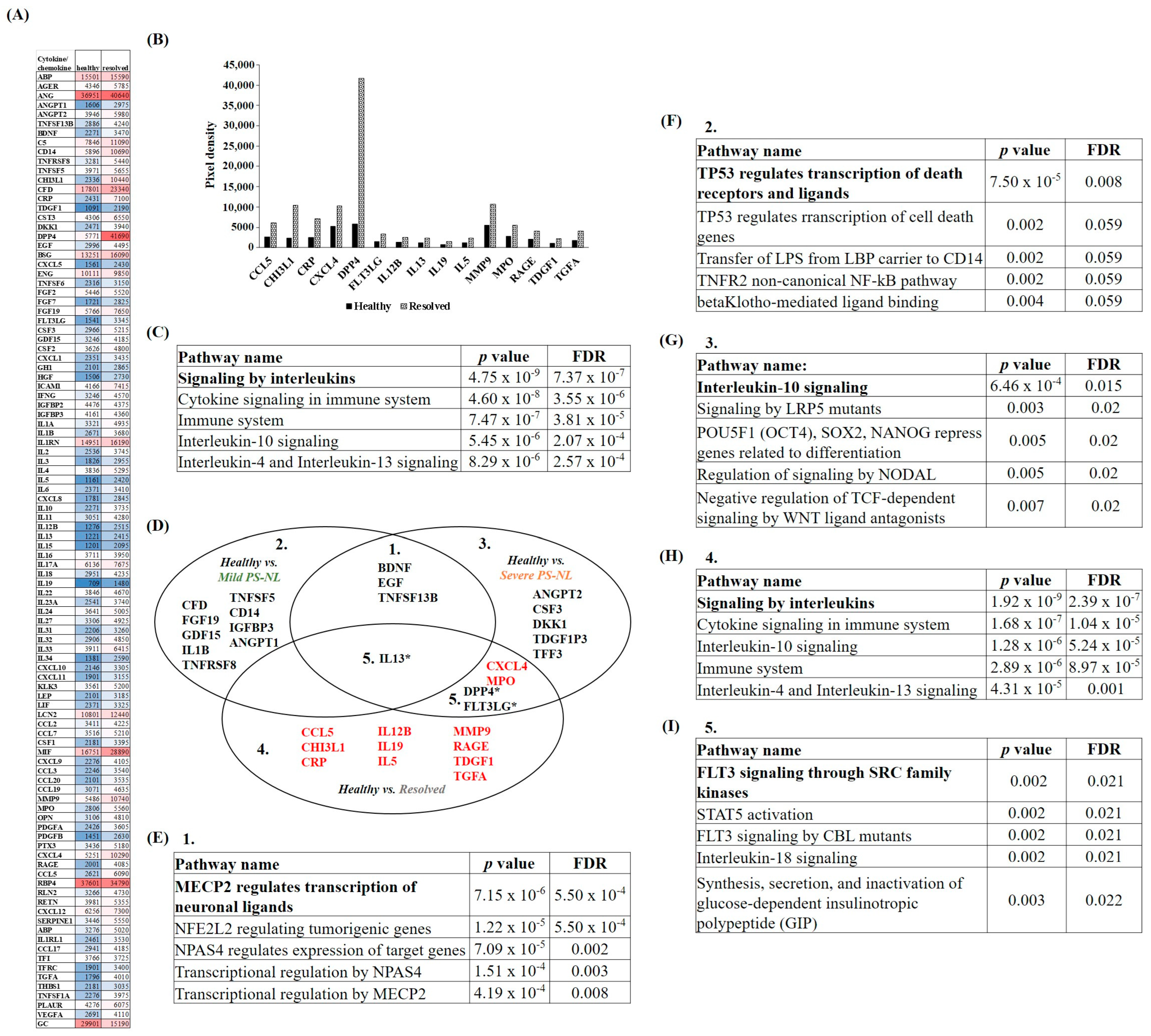 Ijms 25 11292 g005 Ijms 25 11292 g005