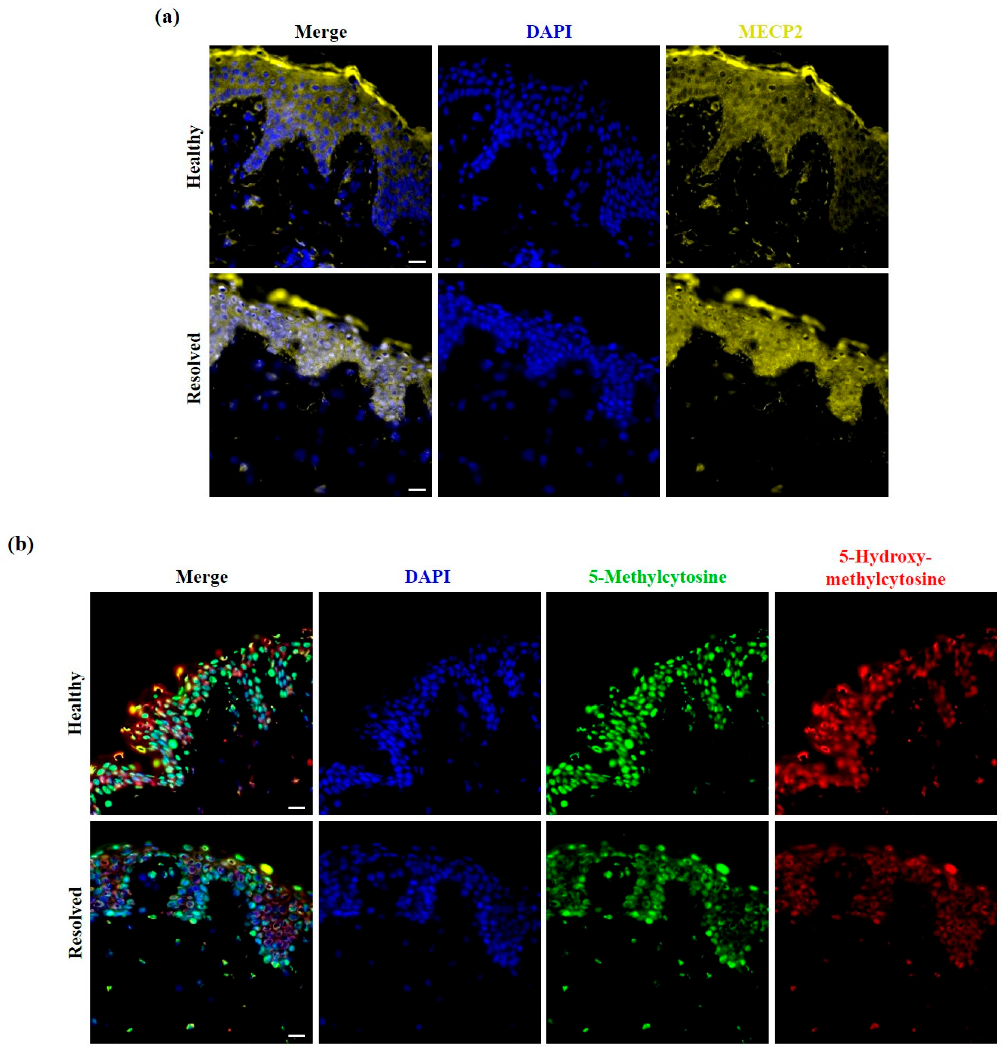 Ijms 25 11292 g007 Ijms 25 11292 g007