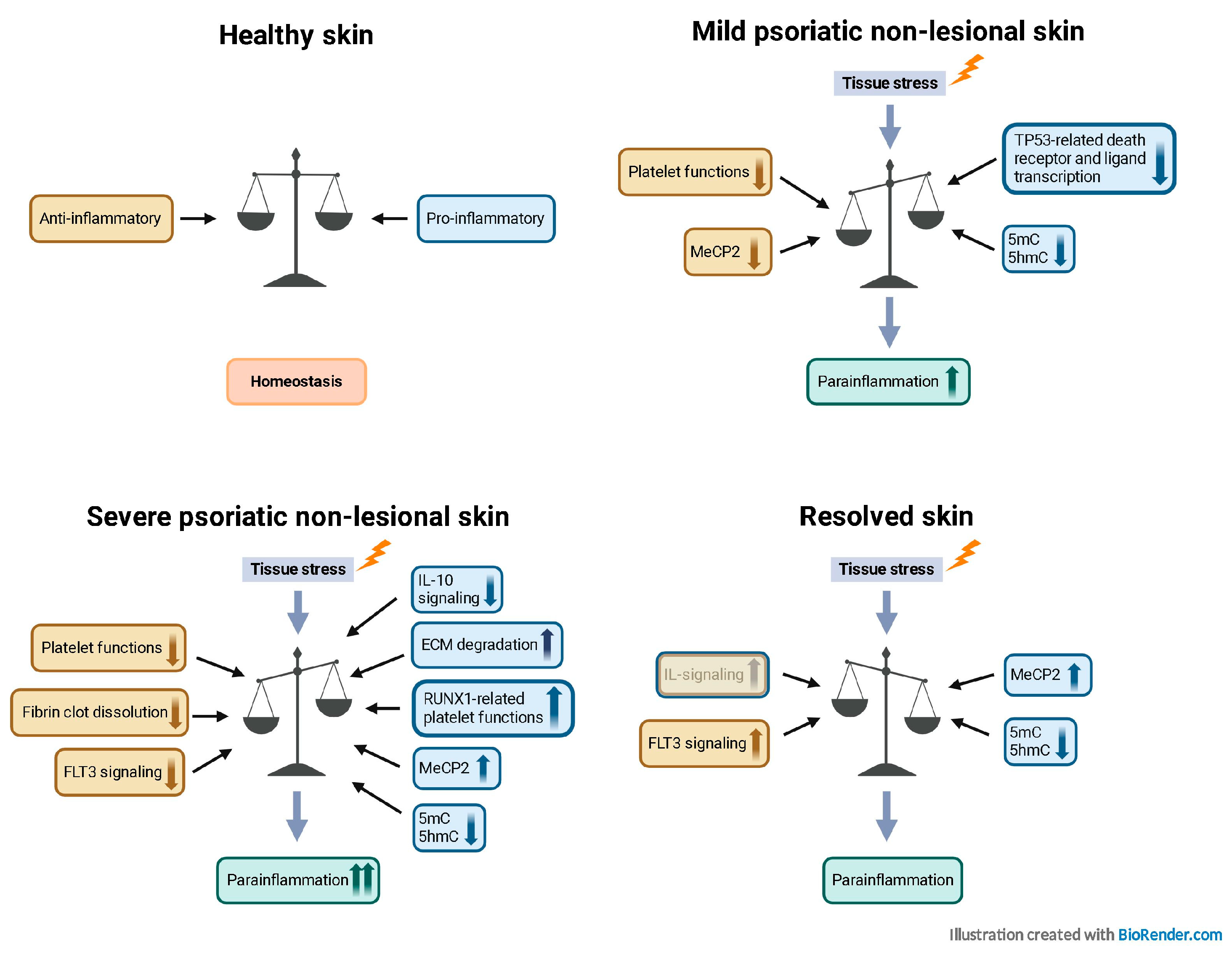 Ijms 25 11292 g008 Ijms 25 11292 g008