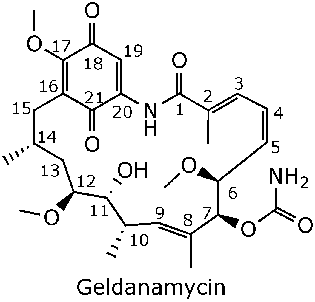 Ijms 25 11293 g001 Ijms 25 11293 g001