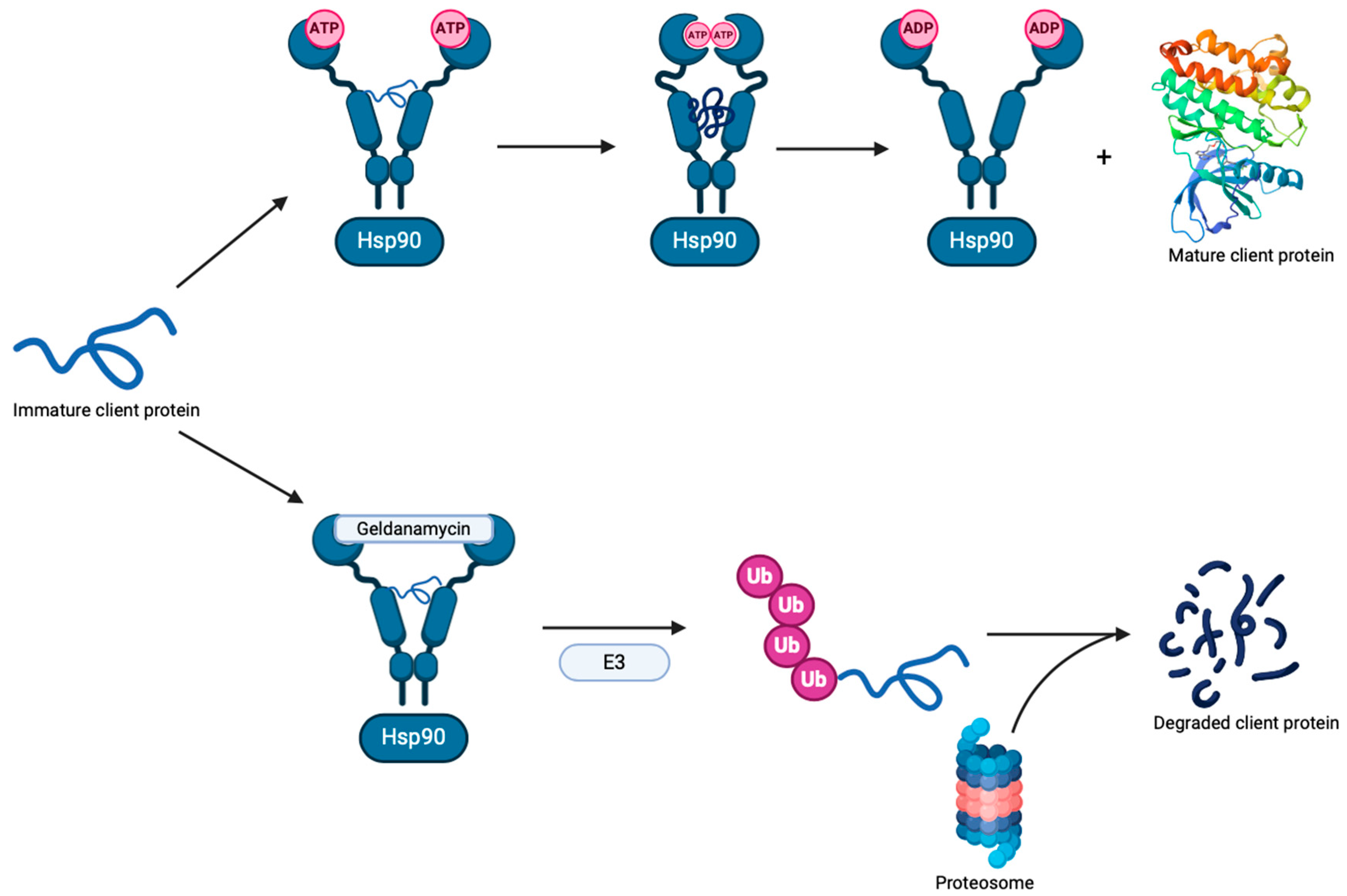 Ijms 25 11293 g003 Ijms 25 11293 g003