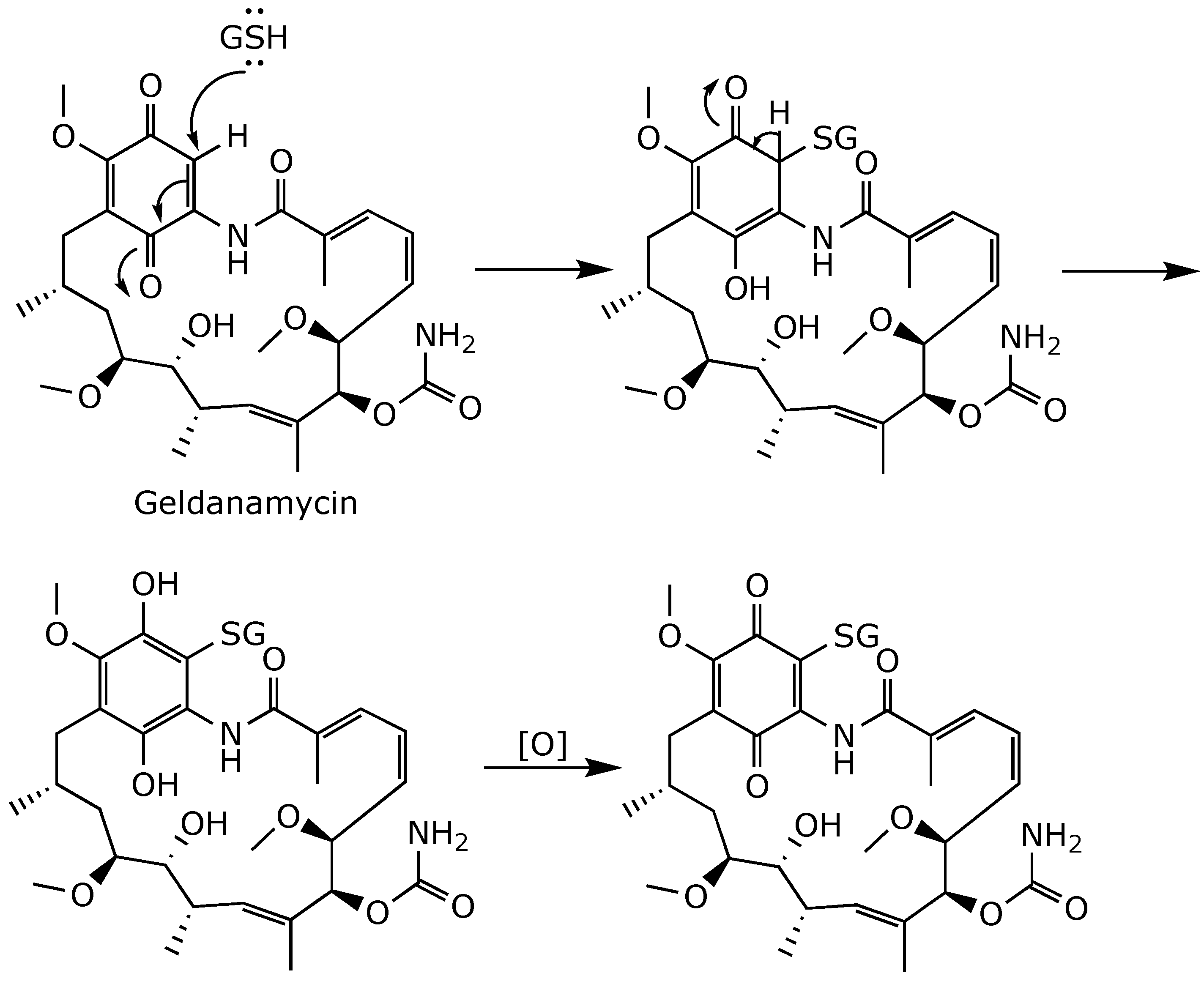 Ijms 25 11293 g006 Ijms 25 11293 g006