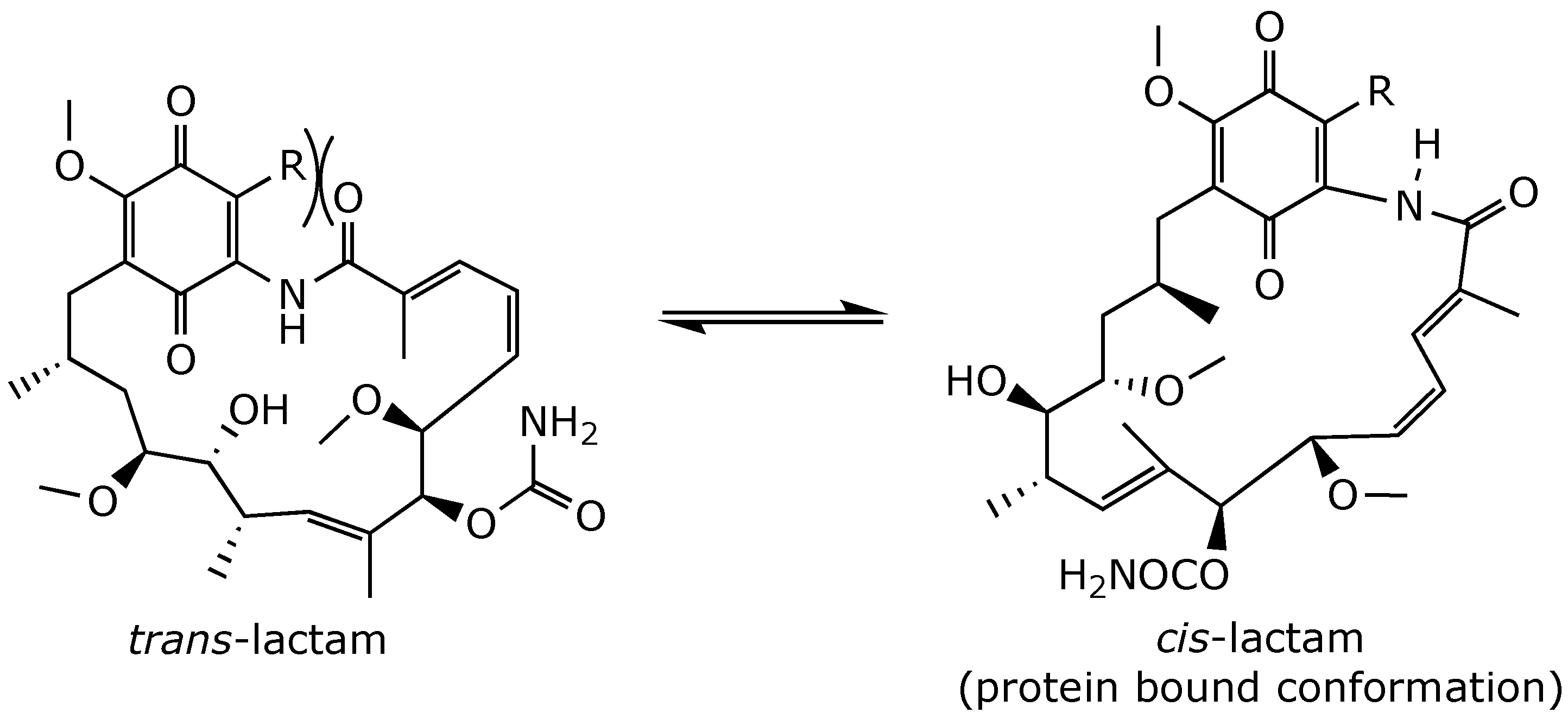 Ijms 25 11293 g009 Ijms 25 11293 g009