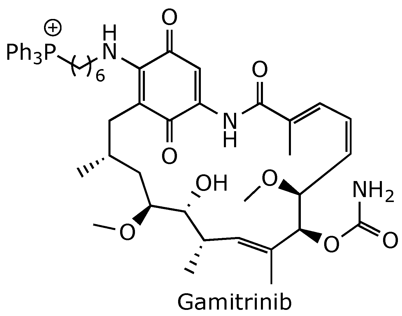 Ijms 25 11293 g011 Ijms 25 11293 g011