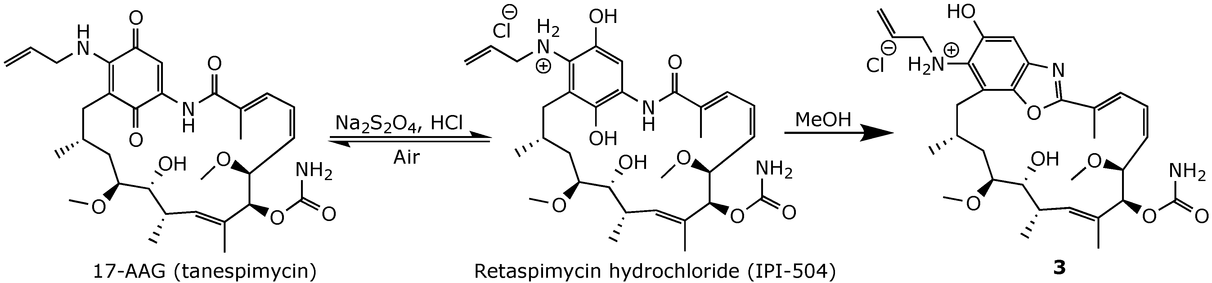 Ijms 25 11293 g012 Ijms 25 11293 g012