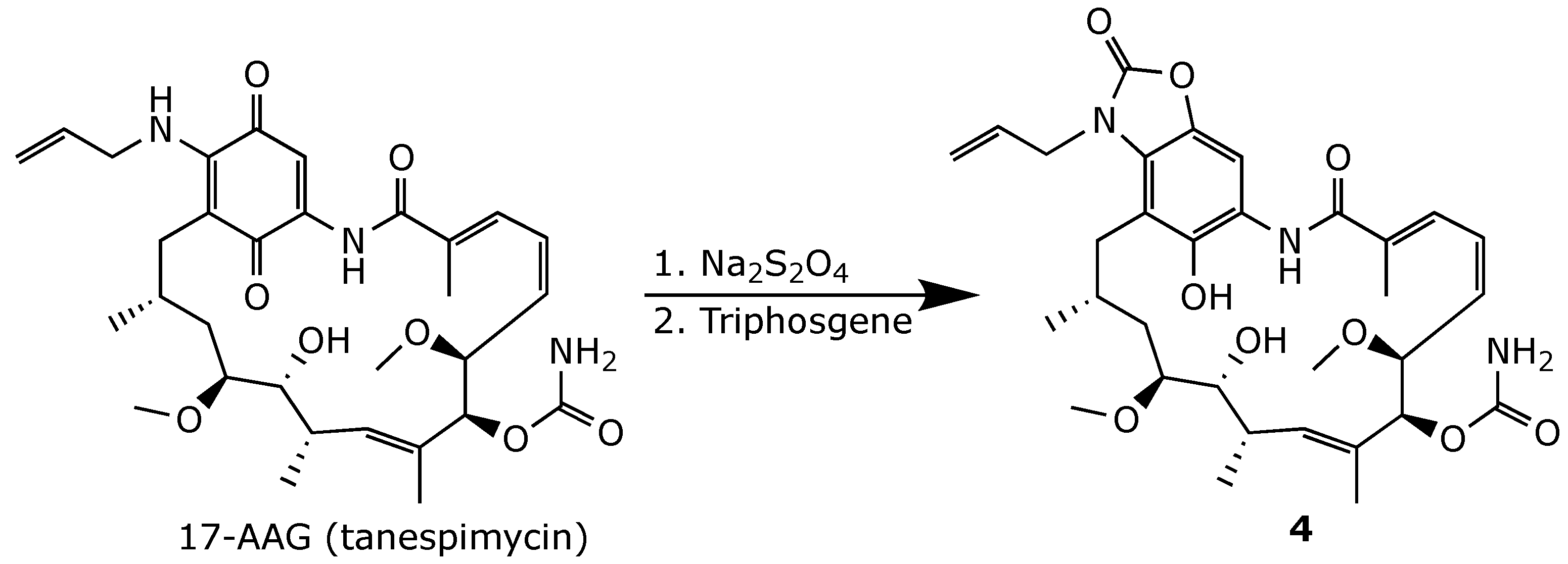 Ijms 25 11293 g013 Ijms 25 11293 g013