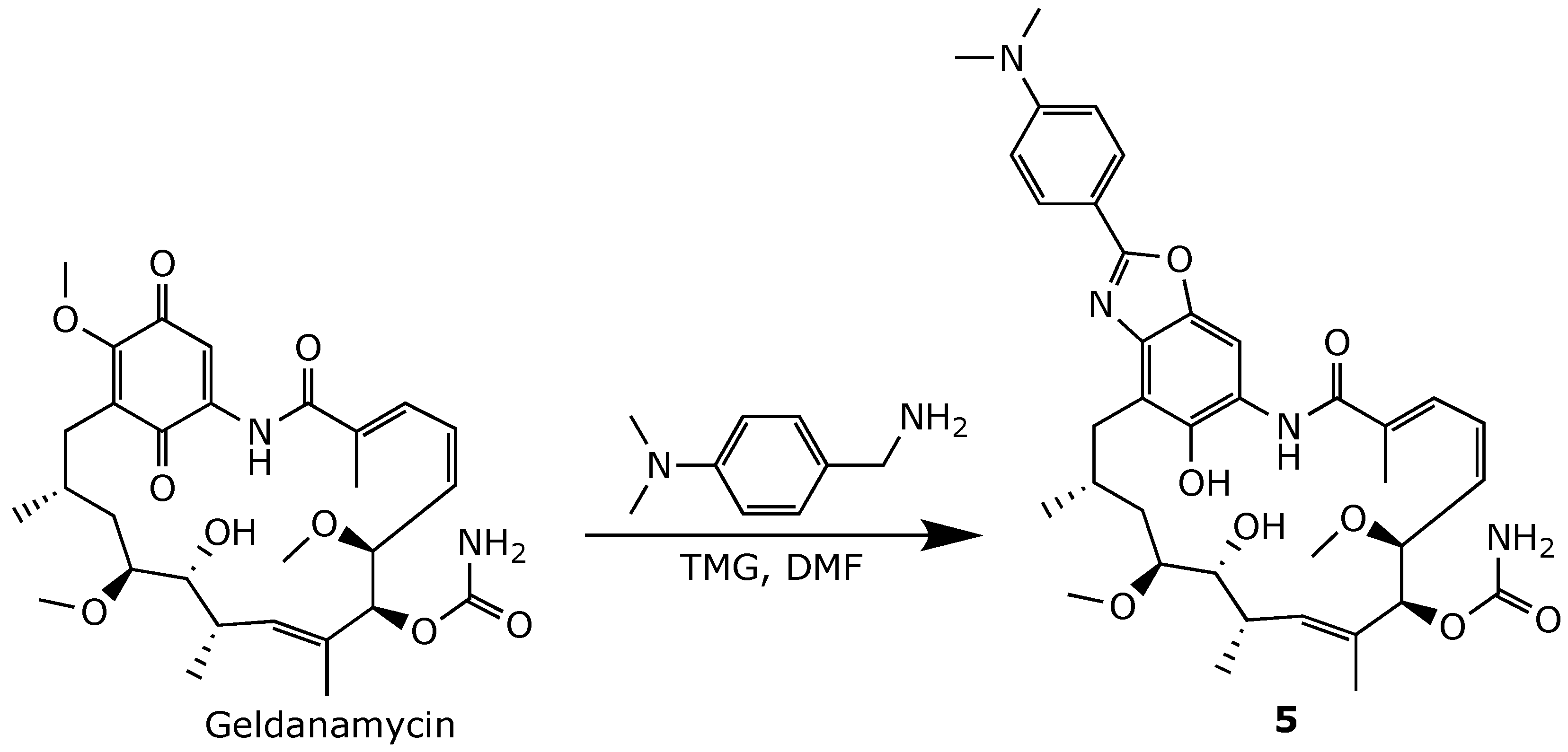 Ijms 25 11293 g014 Ijms 25 11293 g014