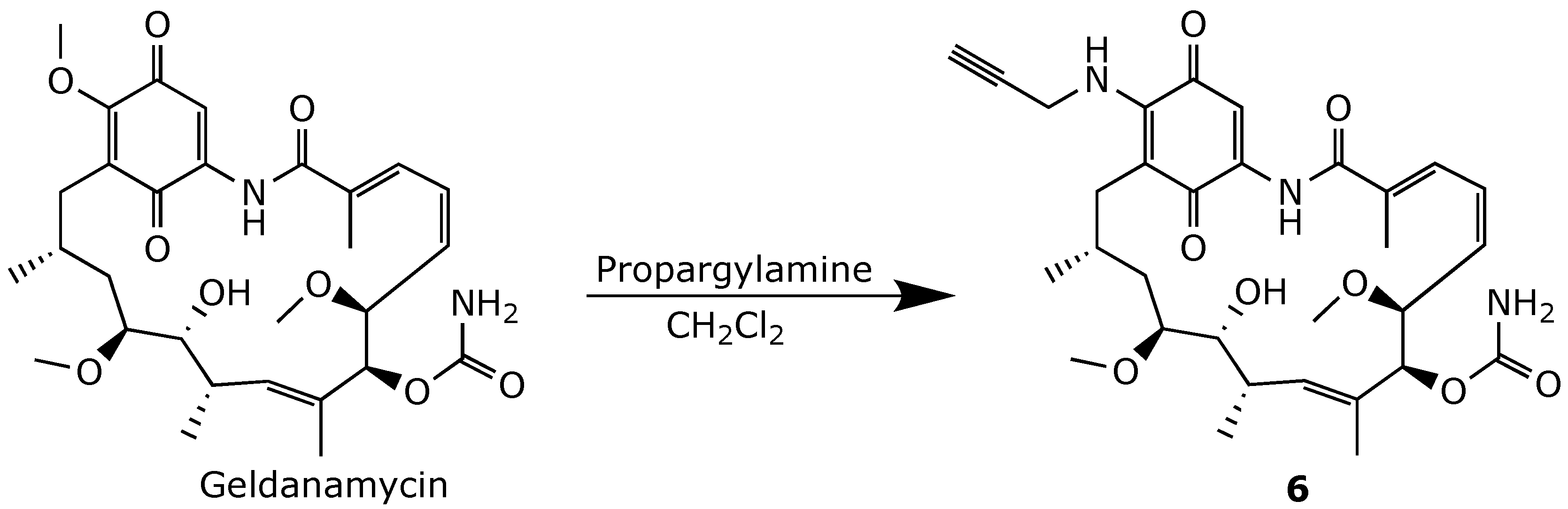 Ijms 25 11293 g015 Ijms 25 11293 g015