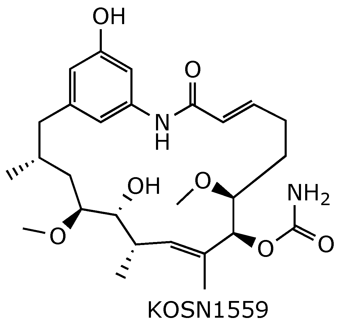 Ijms 25 11293 g018 Ijms 25 11293 g018