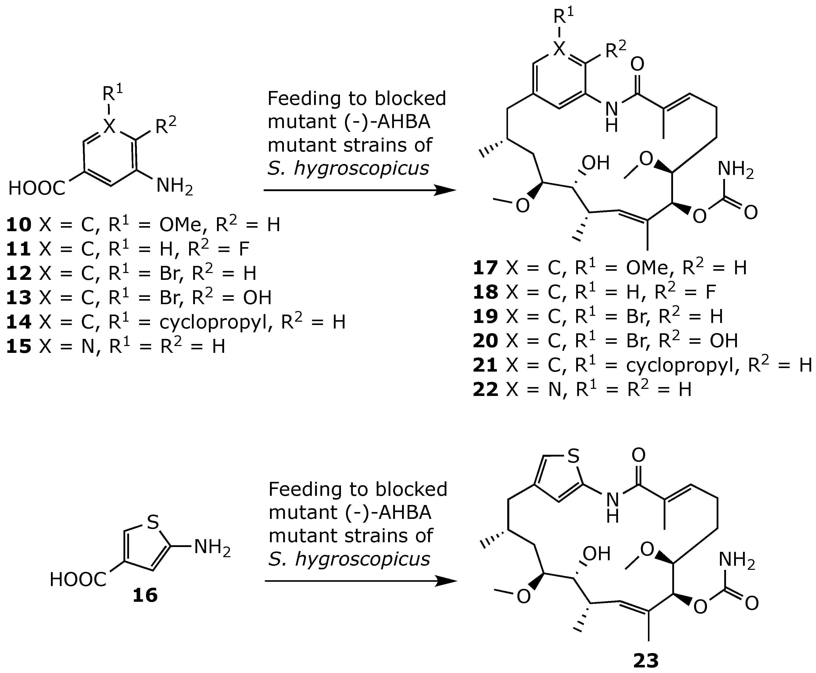 Ijms 25 11293 g019 Ijms 25 11293 g019