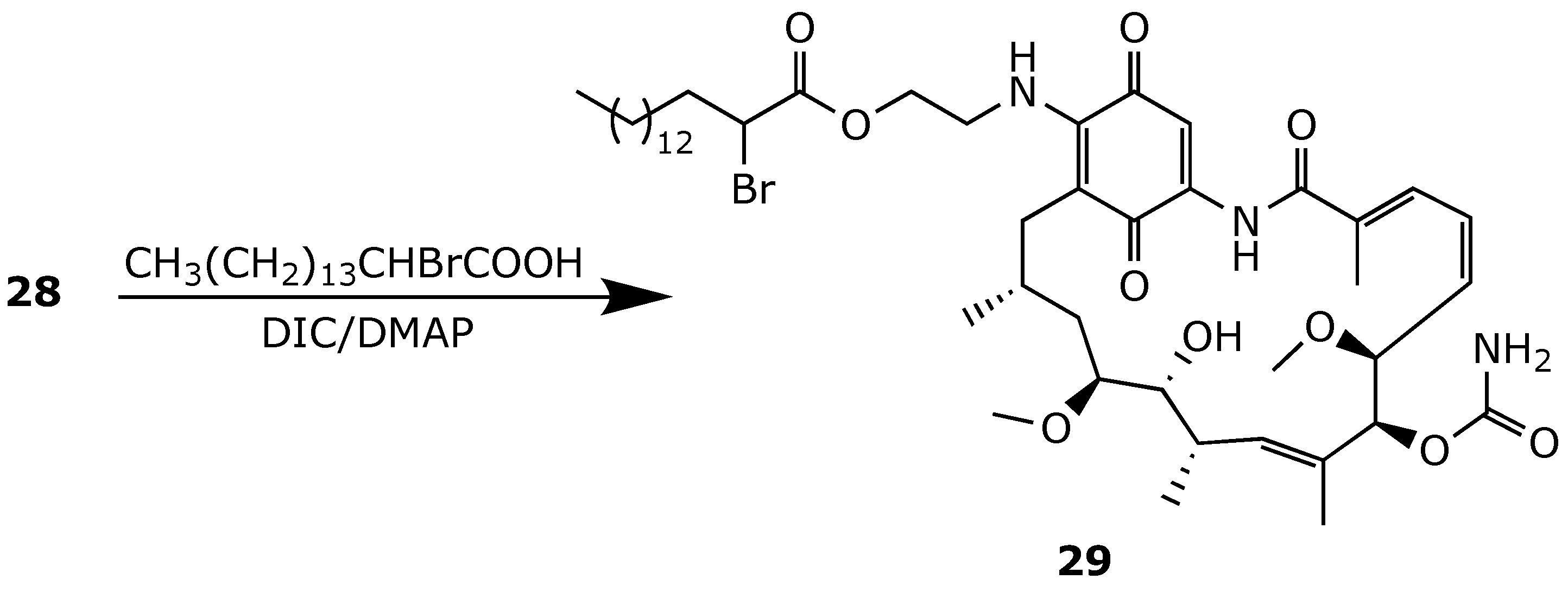 Ijms 25 11293 g022 Ijms 25 11293 g022
