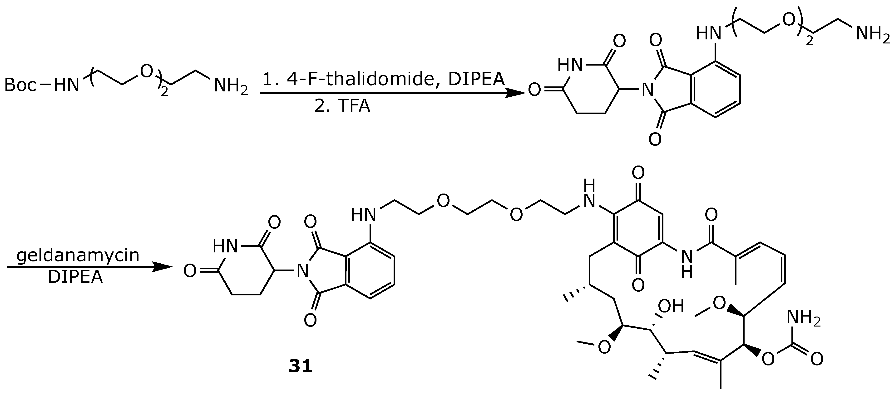 Ijms 25 11293 g024 Ijms 25 11293 g024