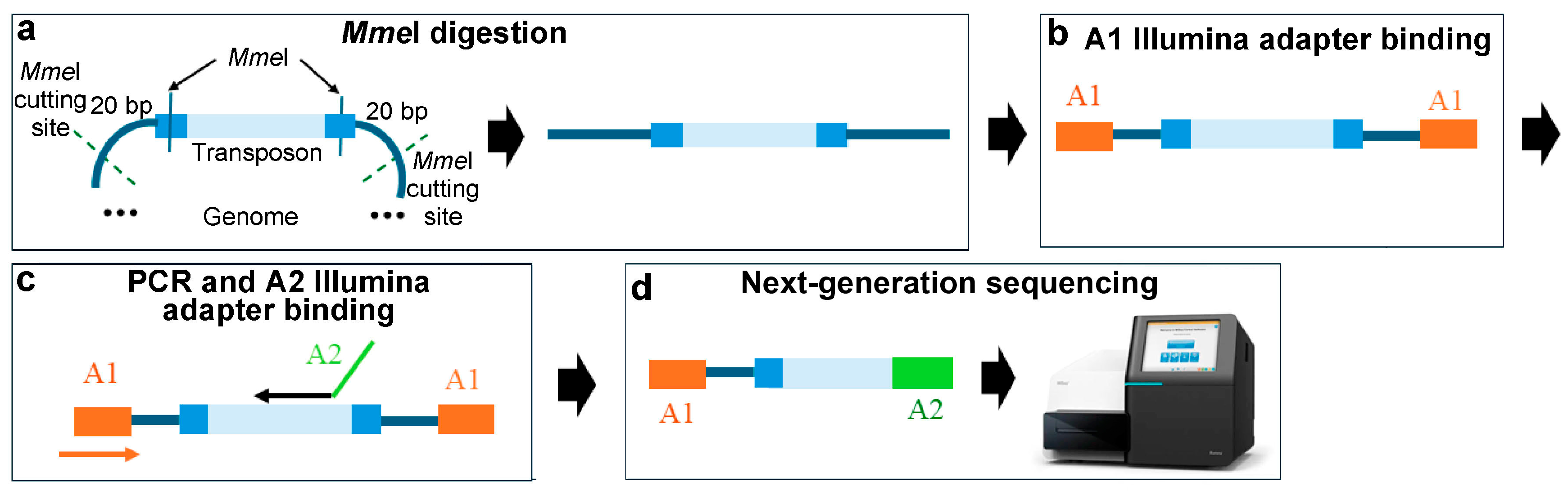Ijms 25 11298 g002 Ijms 25 11298 g002
