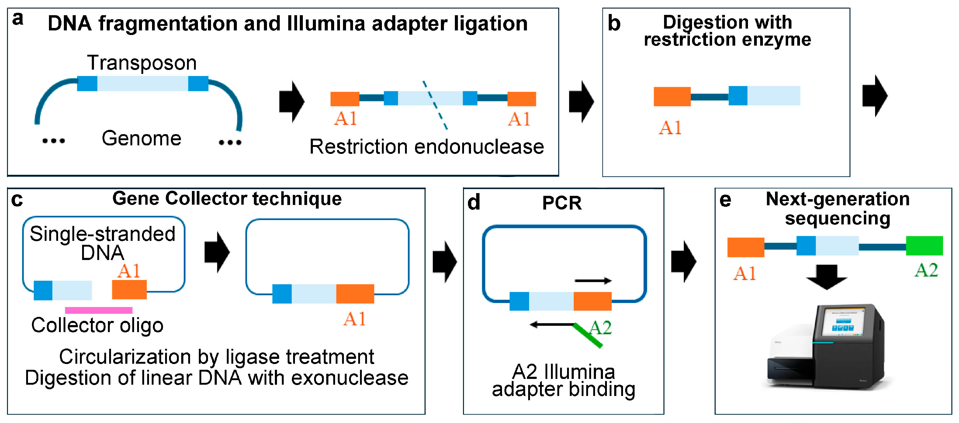 Ijms 25 11298 g003 Ijms 25 11298 g003