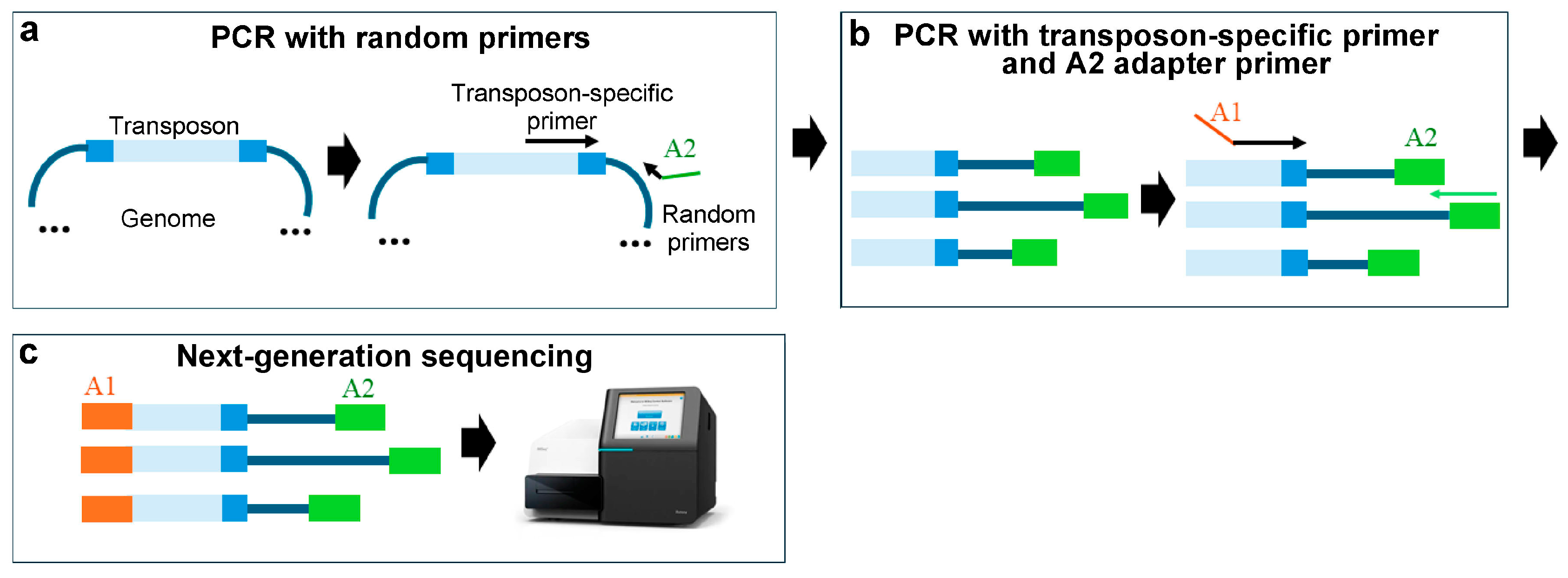 Ijms 25 11298 g004 Ijms 25 11298 g004