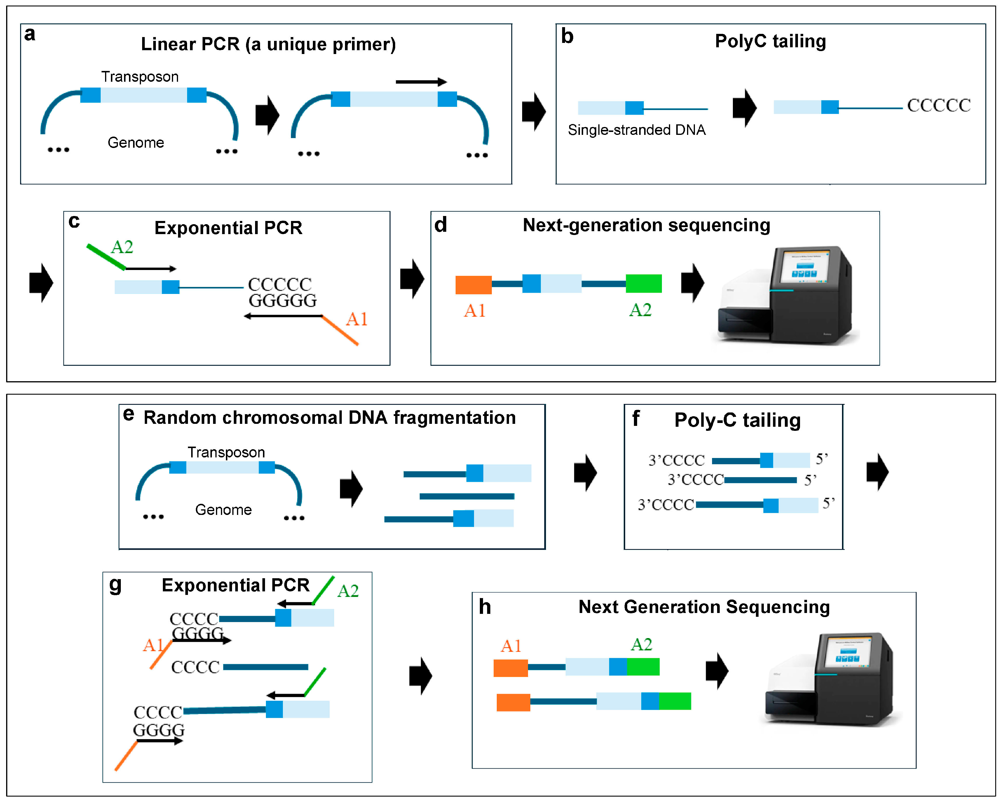 Ijms 25 11298 g006 Ijms 25 11298 g006