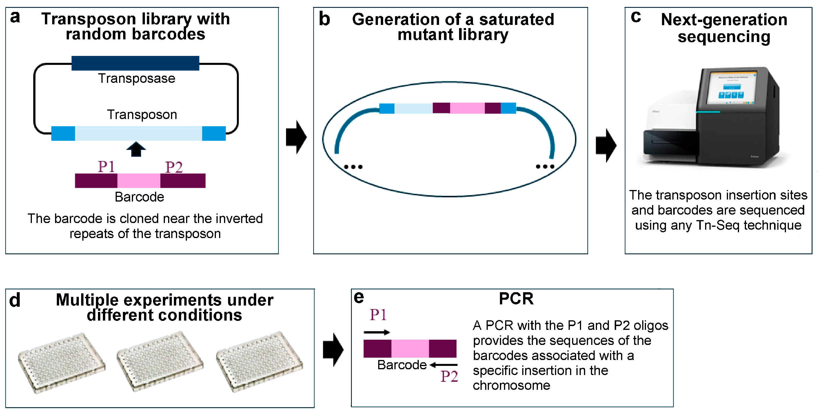 Ijms 25 11298 g007 Ijms 25 11298 g007