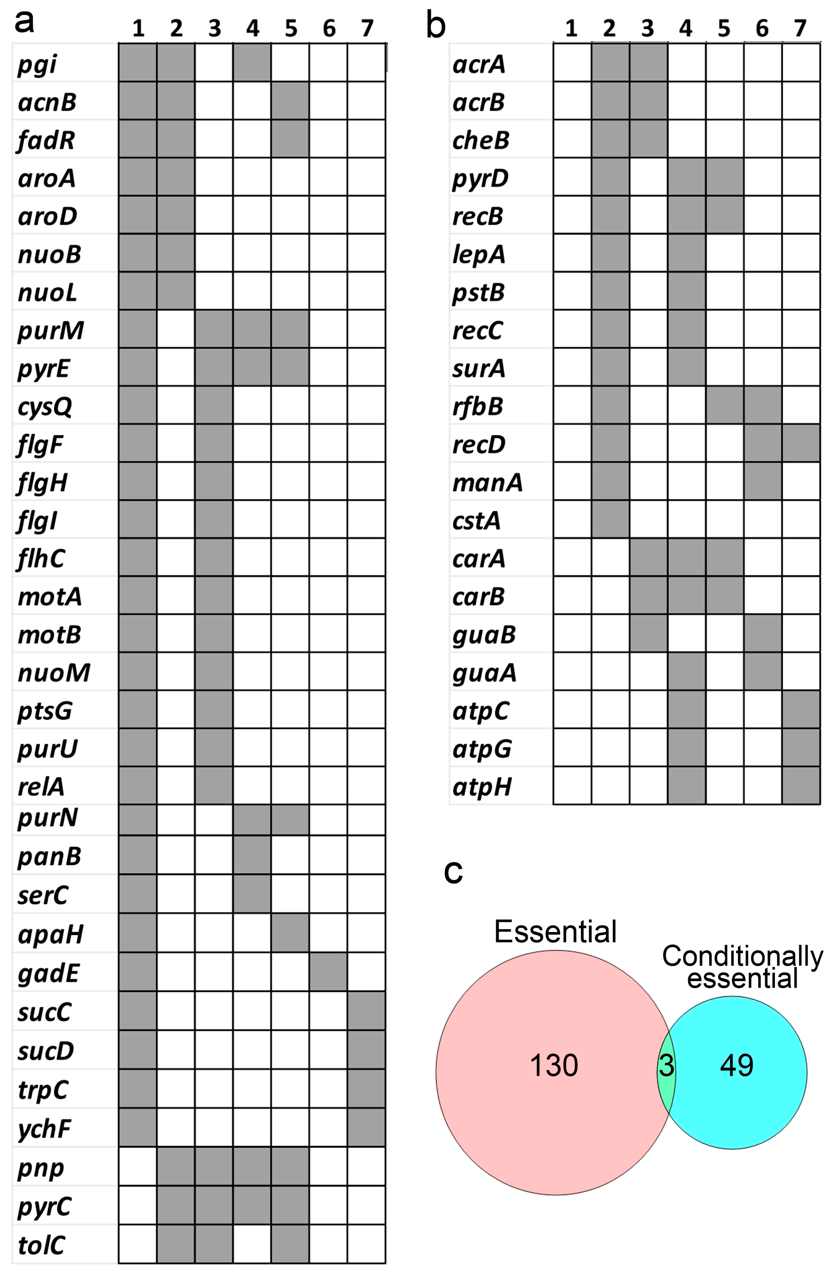 Ijms 25 11298 g010 Ijms 25 11298 g010