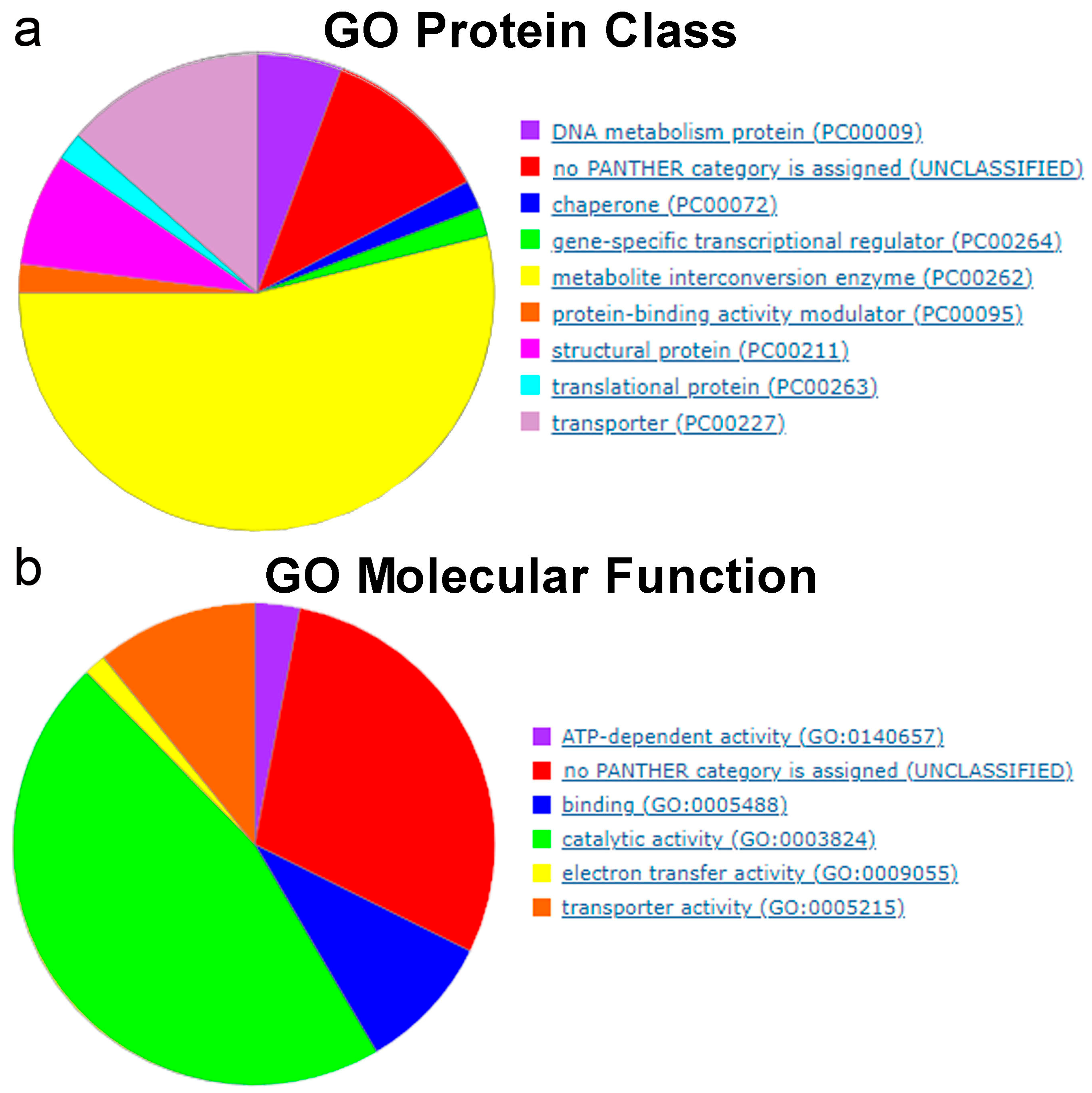 Ijms 25 11298 g011 Ijms 25 11298 g011