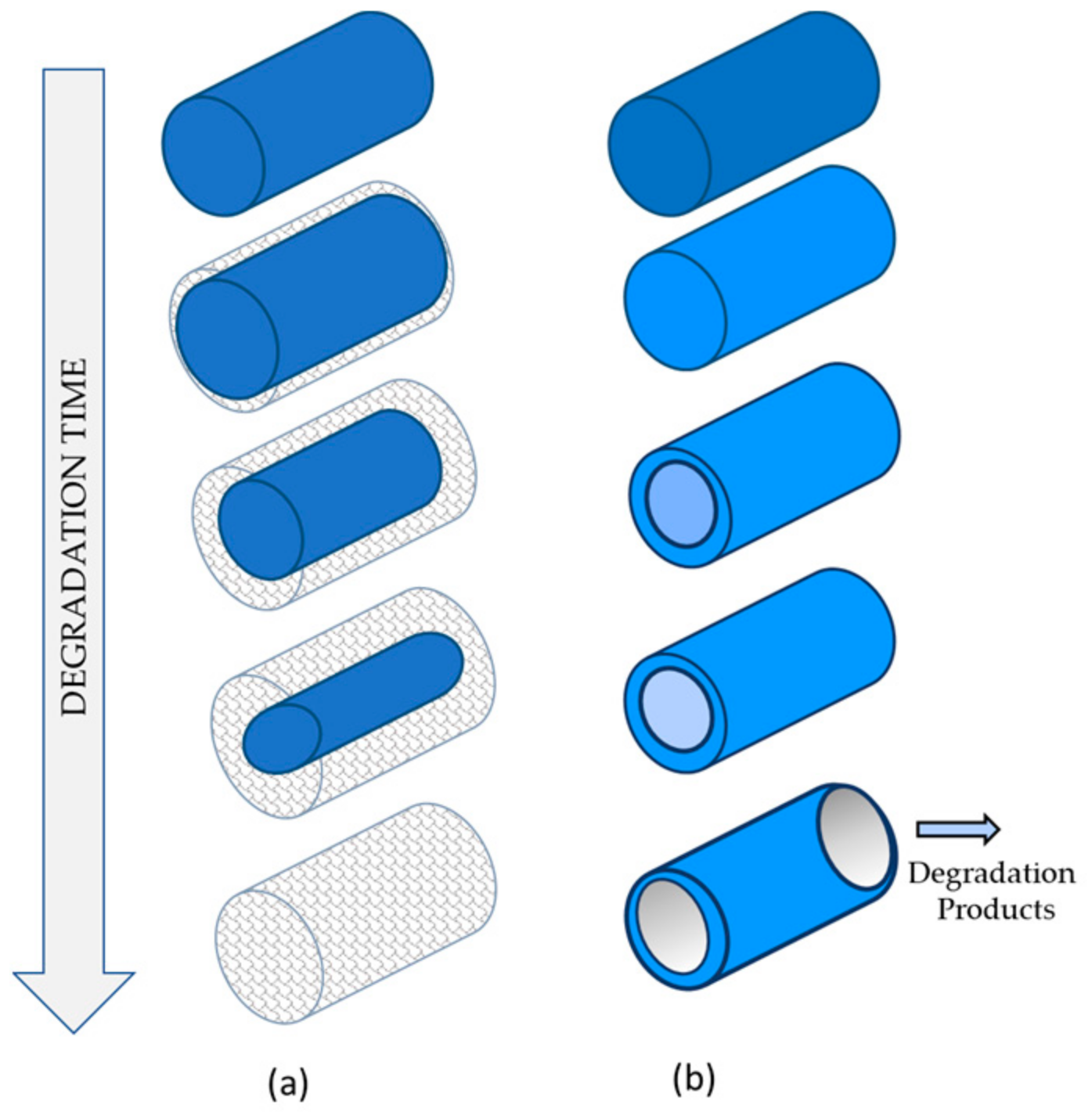 Ijms 25 11333 g010