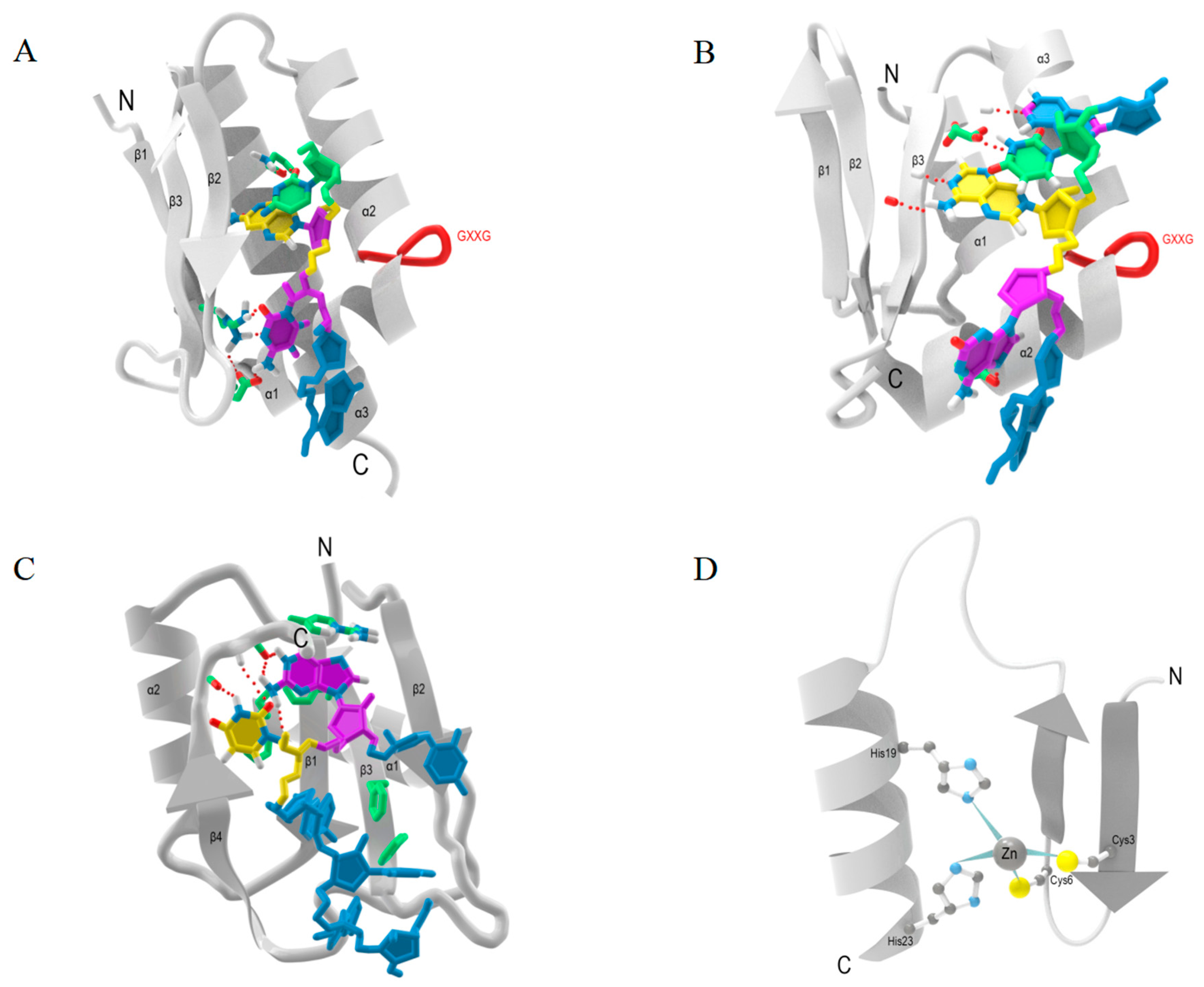 Ijms 25 11337 g001 Ijms 25 11337 g001