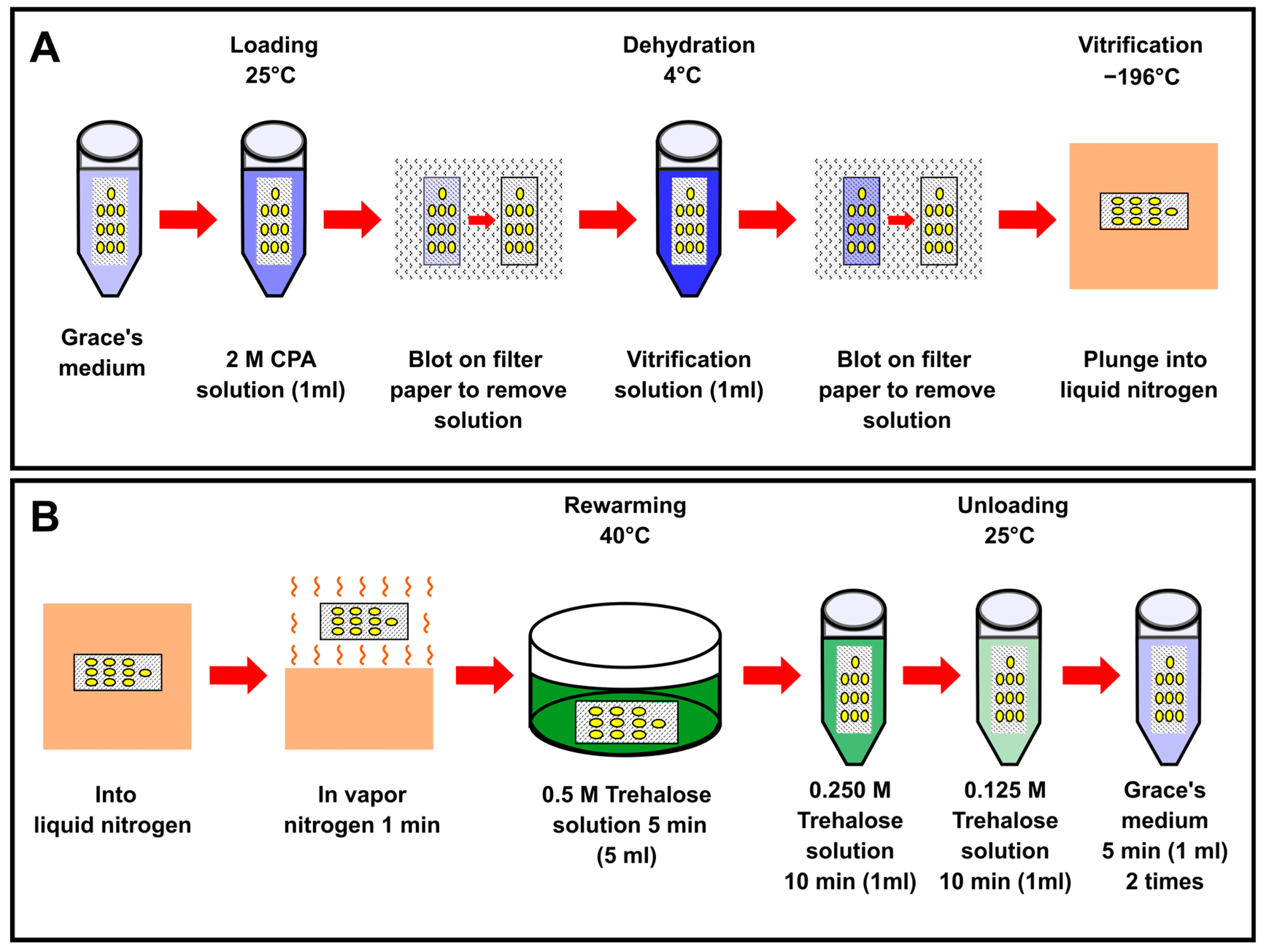 Ijms 25 11396 g011 Ijms 25 11396 g011