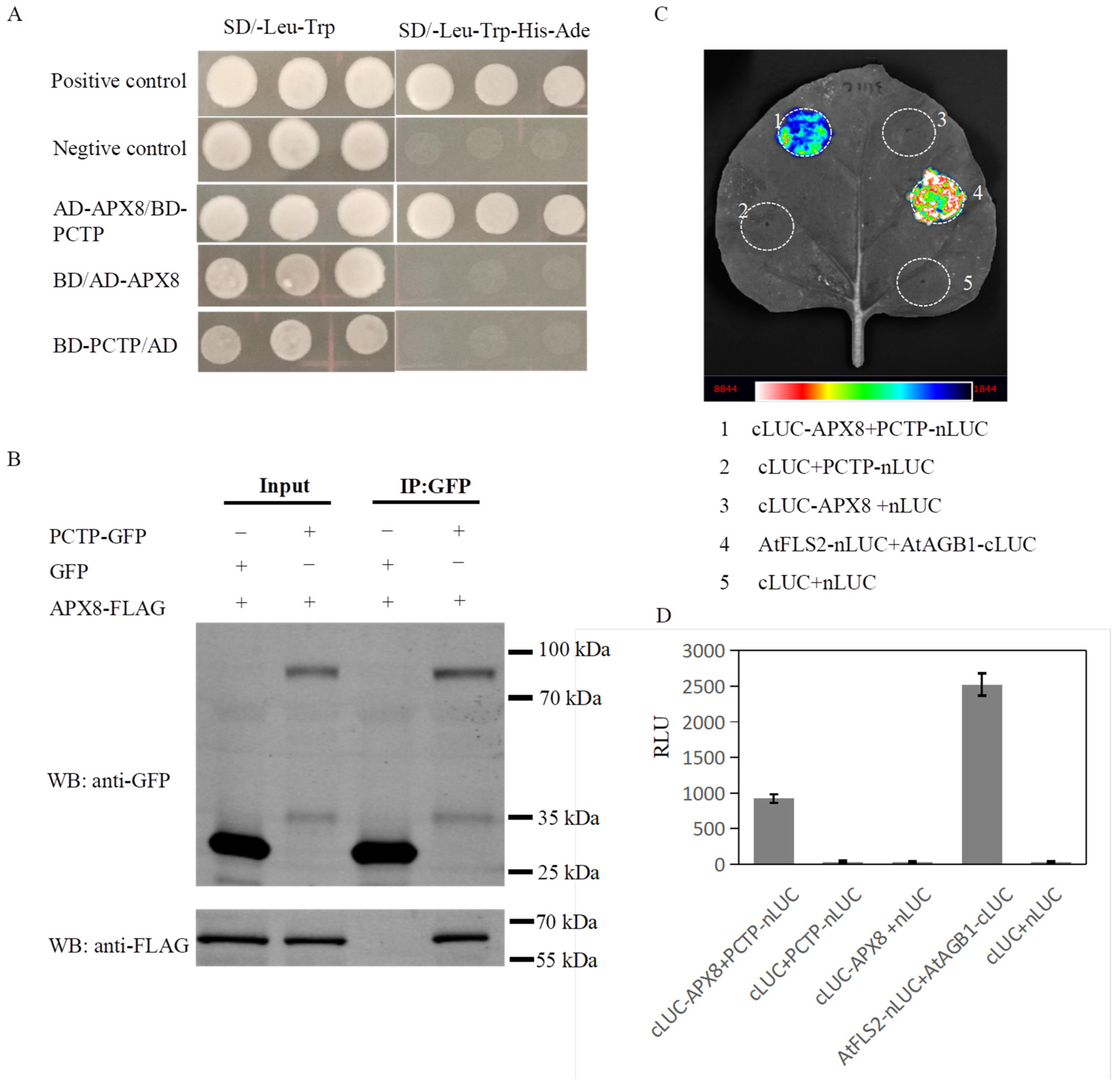 Ijms 25 11503 g005