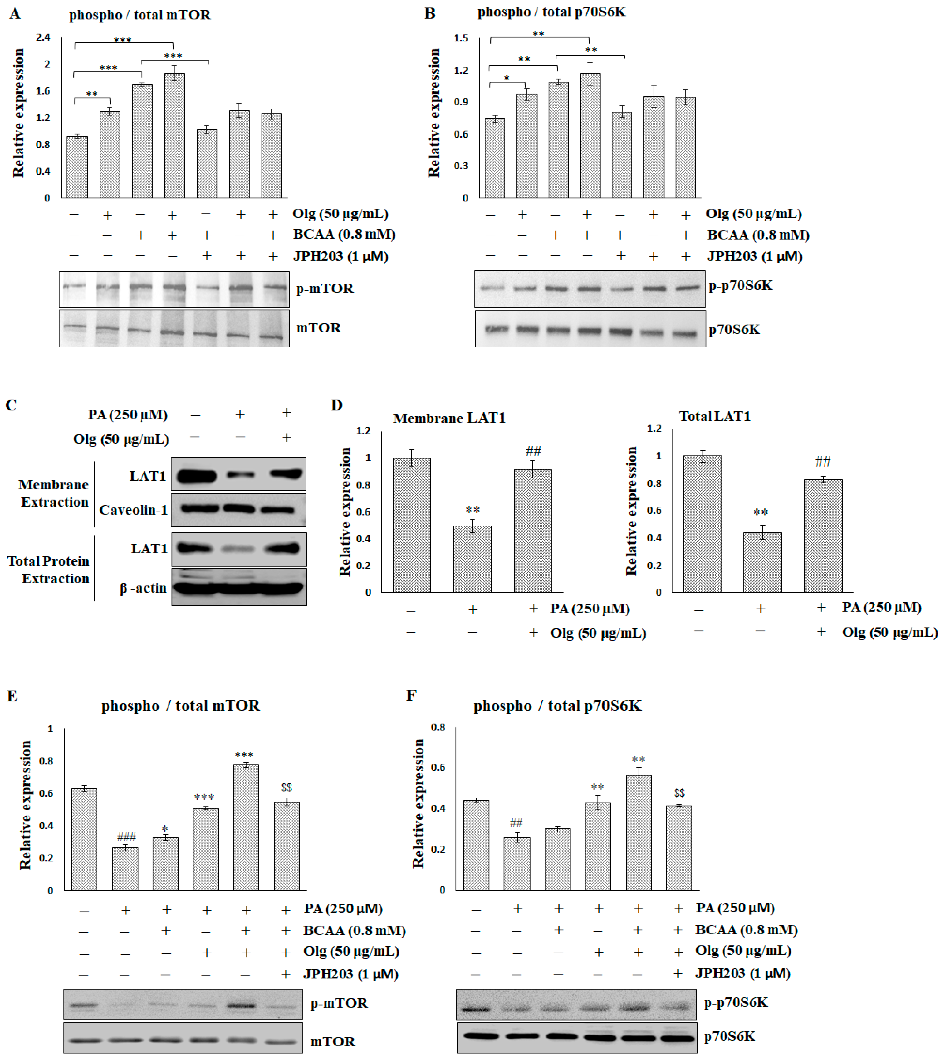 Ijms 25 11549 g005 Ijms 25 11549 g005