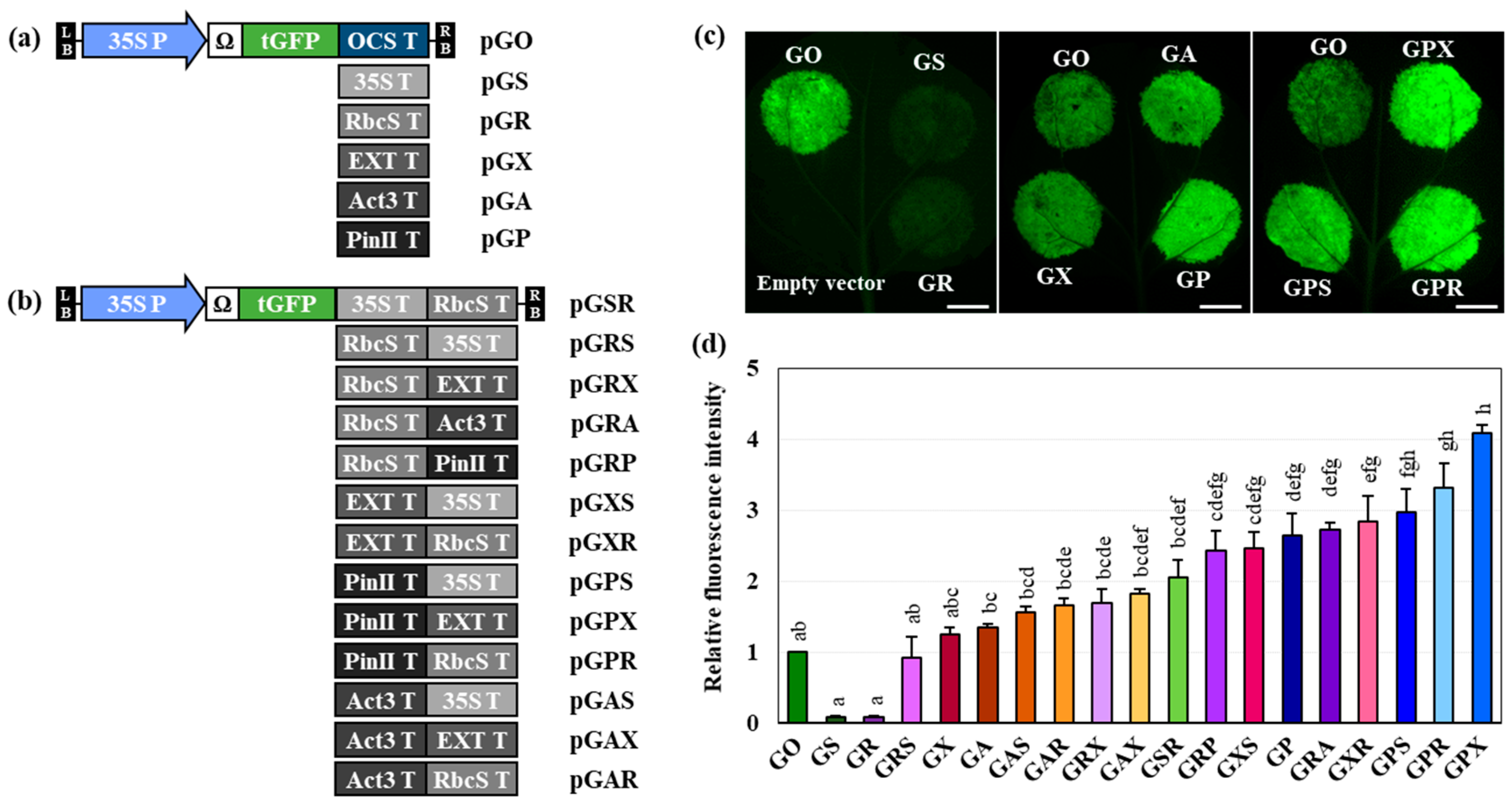 Ijms 25 11573 g001 Ijms 25 11573 g001