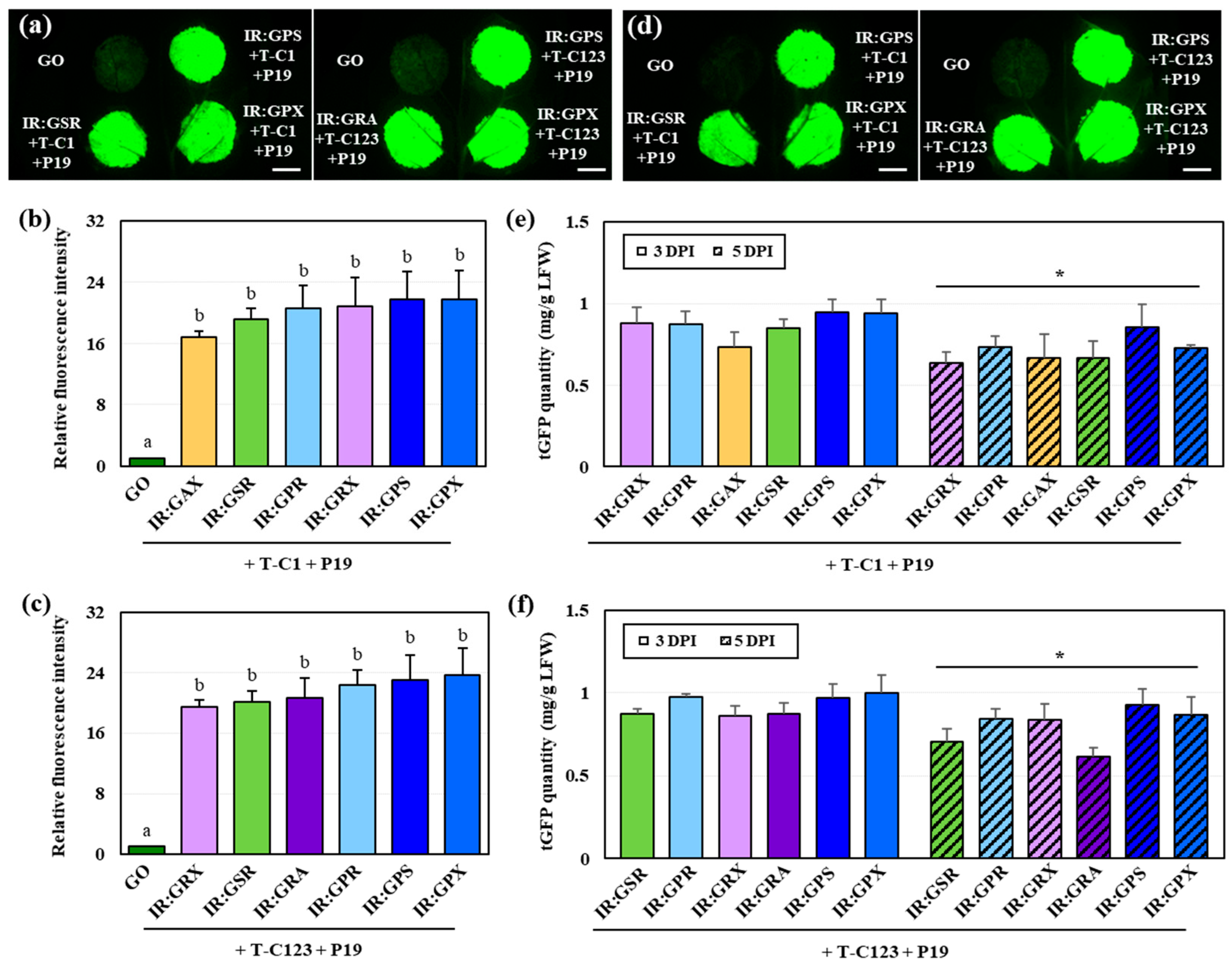 Ijms 25 11573 g003 Ijms 25 11573 g003