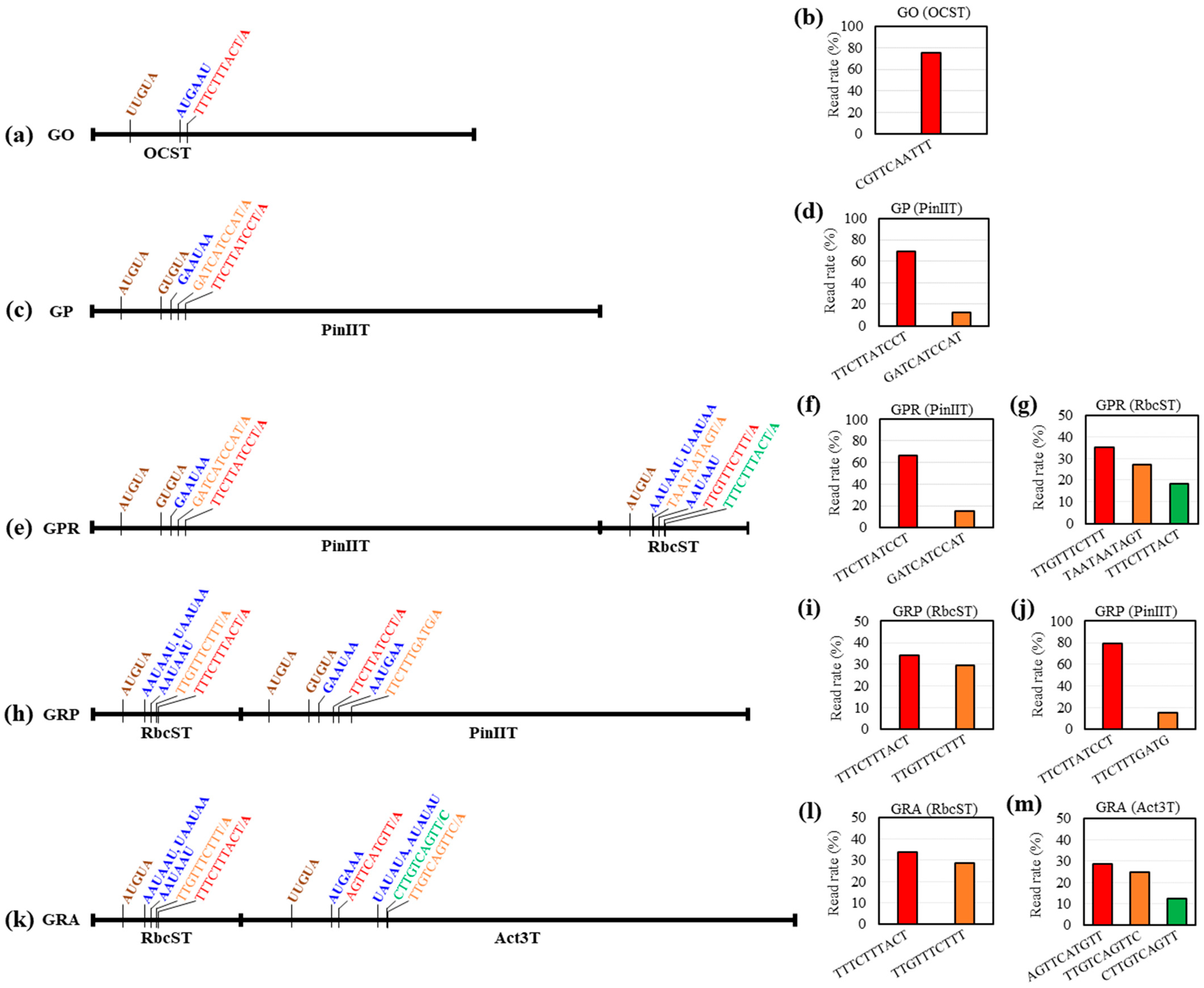 Ijms 25 11573 g005 Ijms 25 11573 g005
