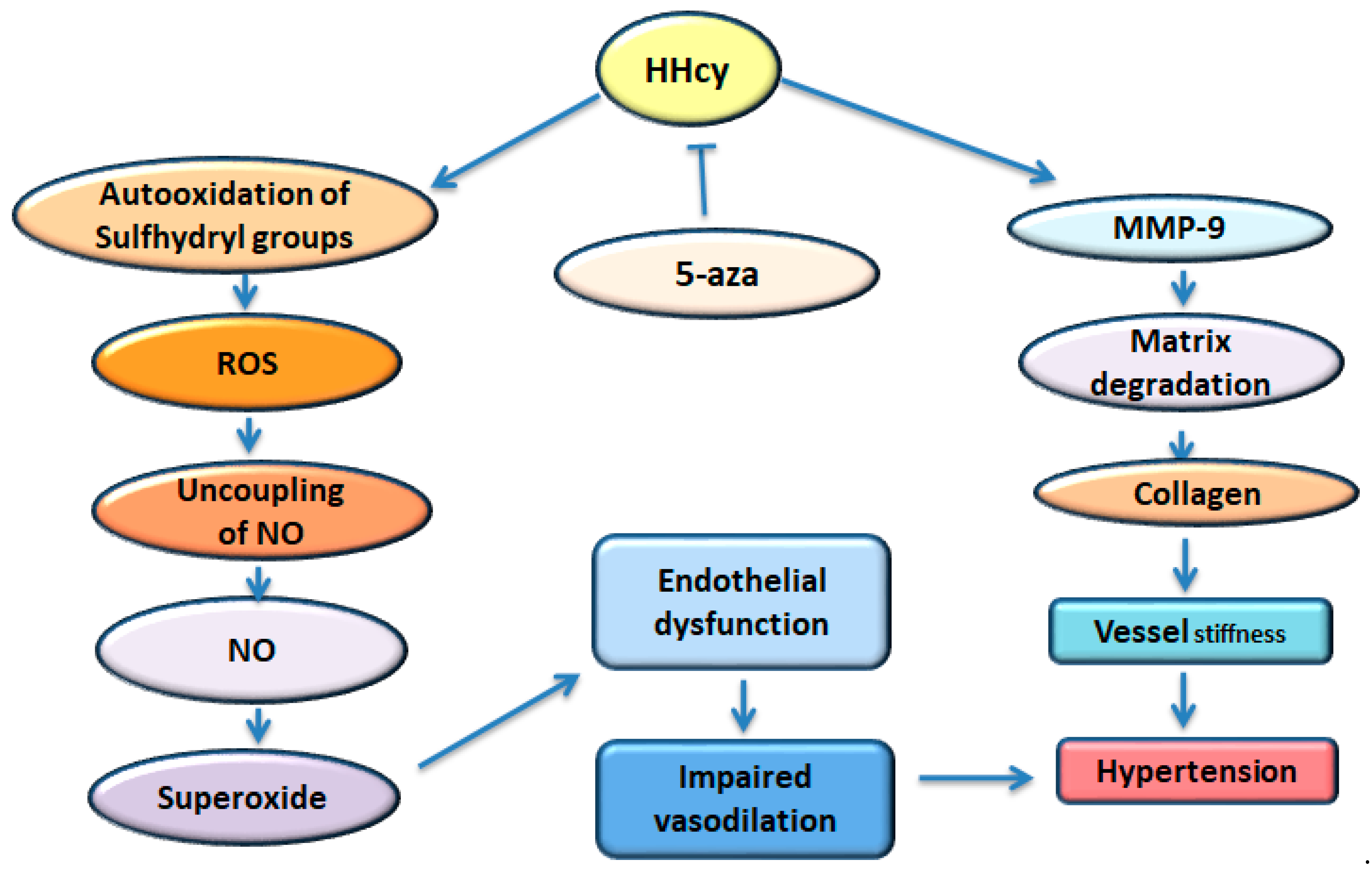 Ijms 25 11599 g004 Ijms 25 11599 g004