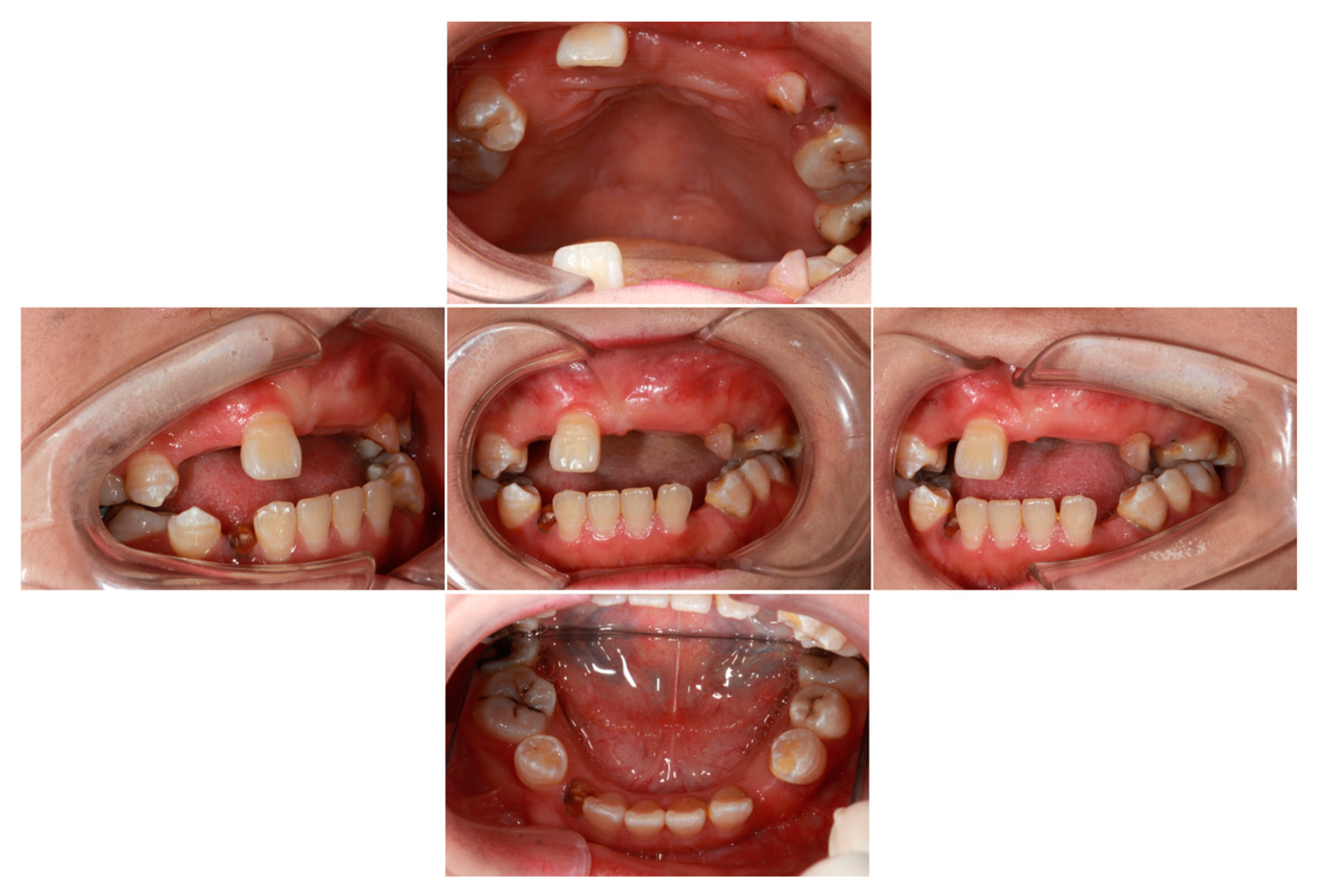 Ijms 25 11611 g001 Ijms 25 11611 g001