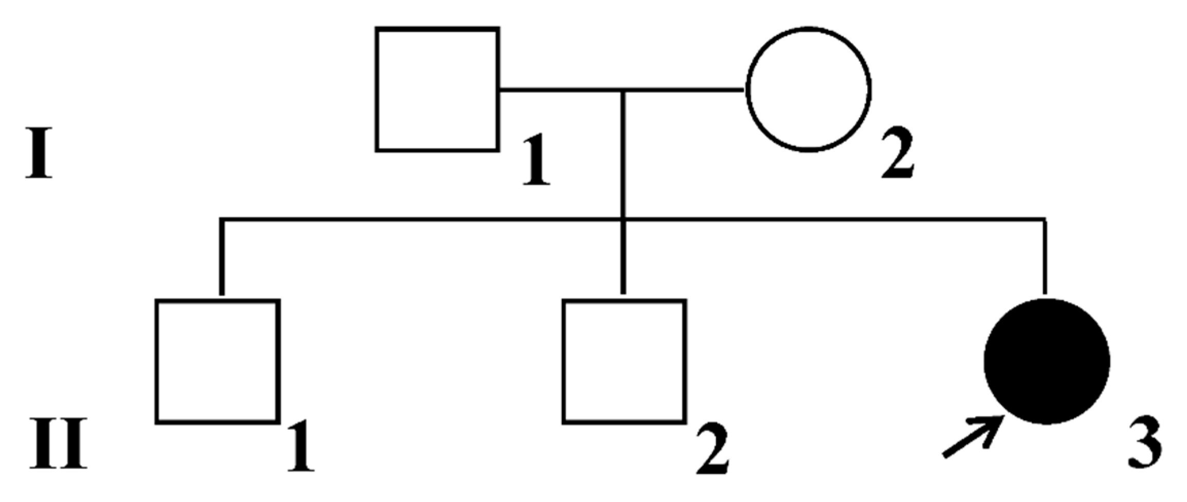 Ijms 25 11611 g004 Ijms 25 11611 g004