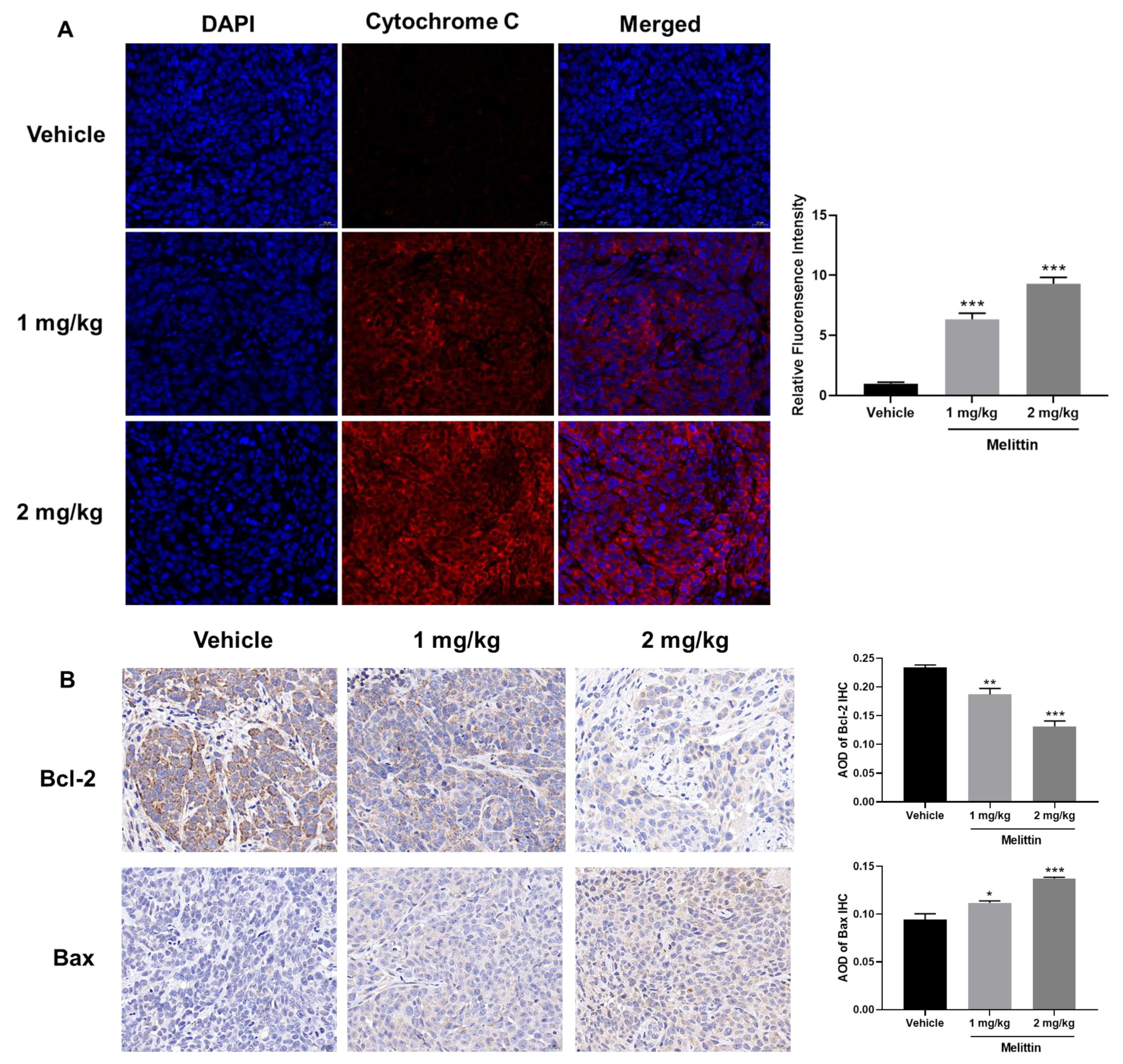 Ijms 25 11686 g005 Ijms 25 11686 g005