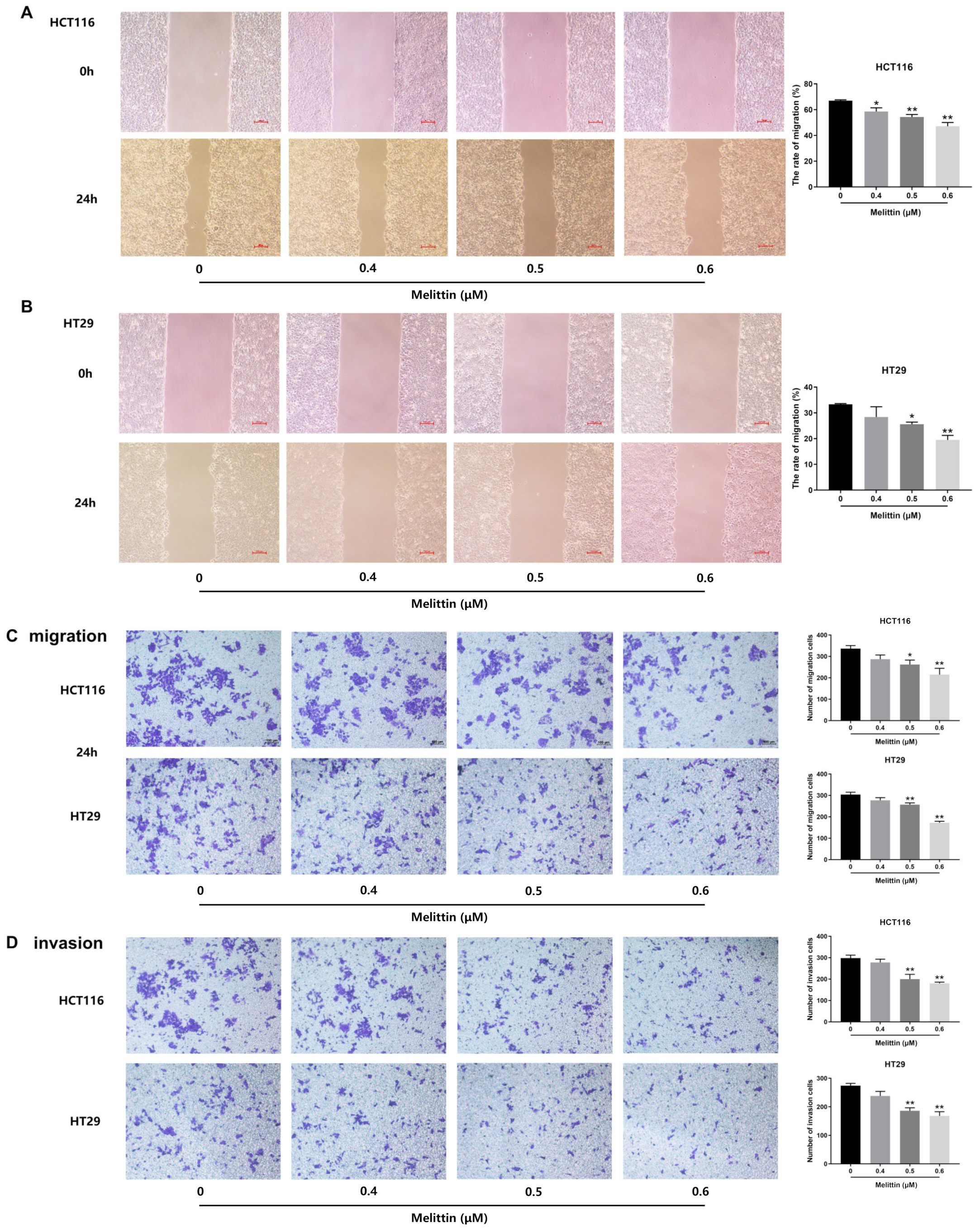 Ijms 25 11686 g006 Ijms 25 11686 g006