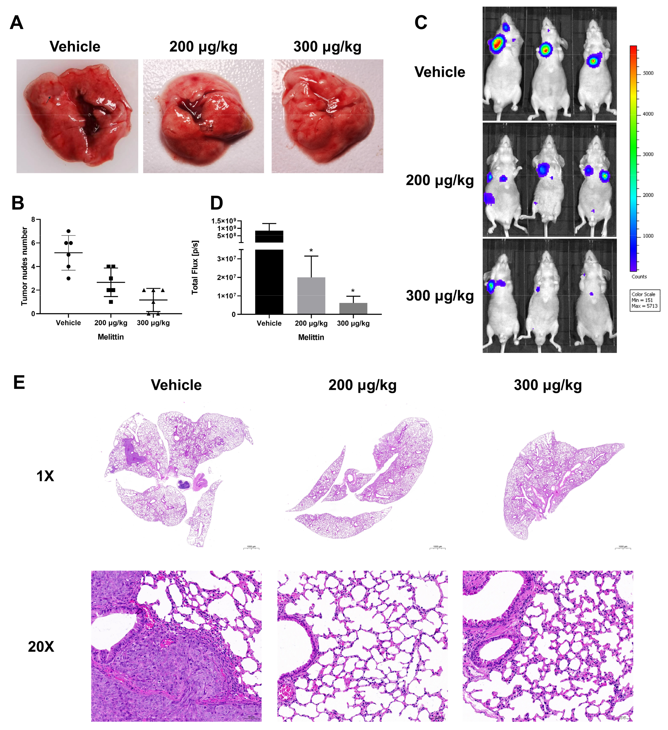 Ijms 25 11686 g007 Ijms 25 11686 g007