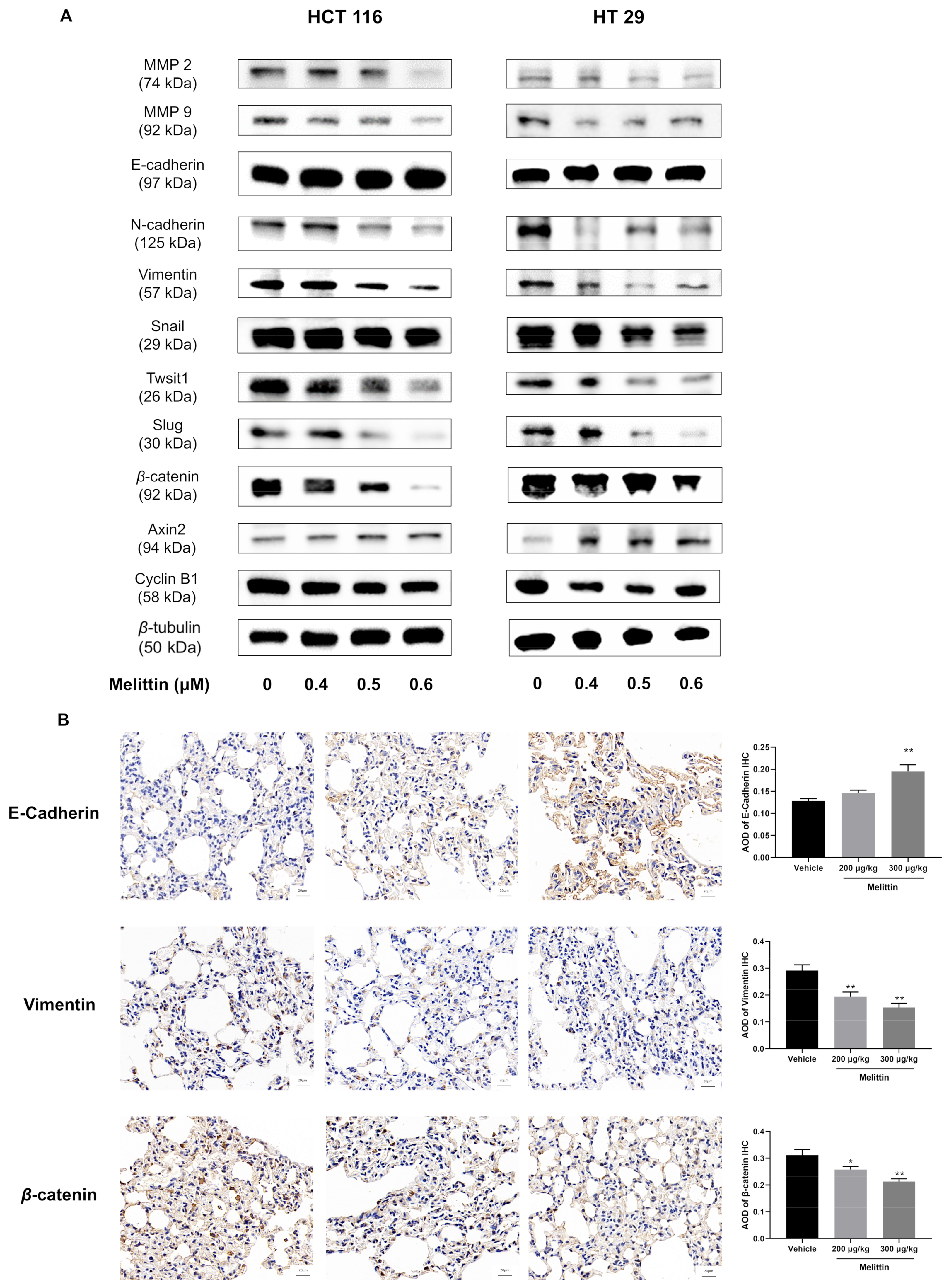 Ijms 25 11686 g008 Ijms 25 11686 g008