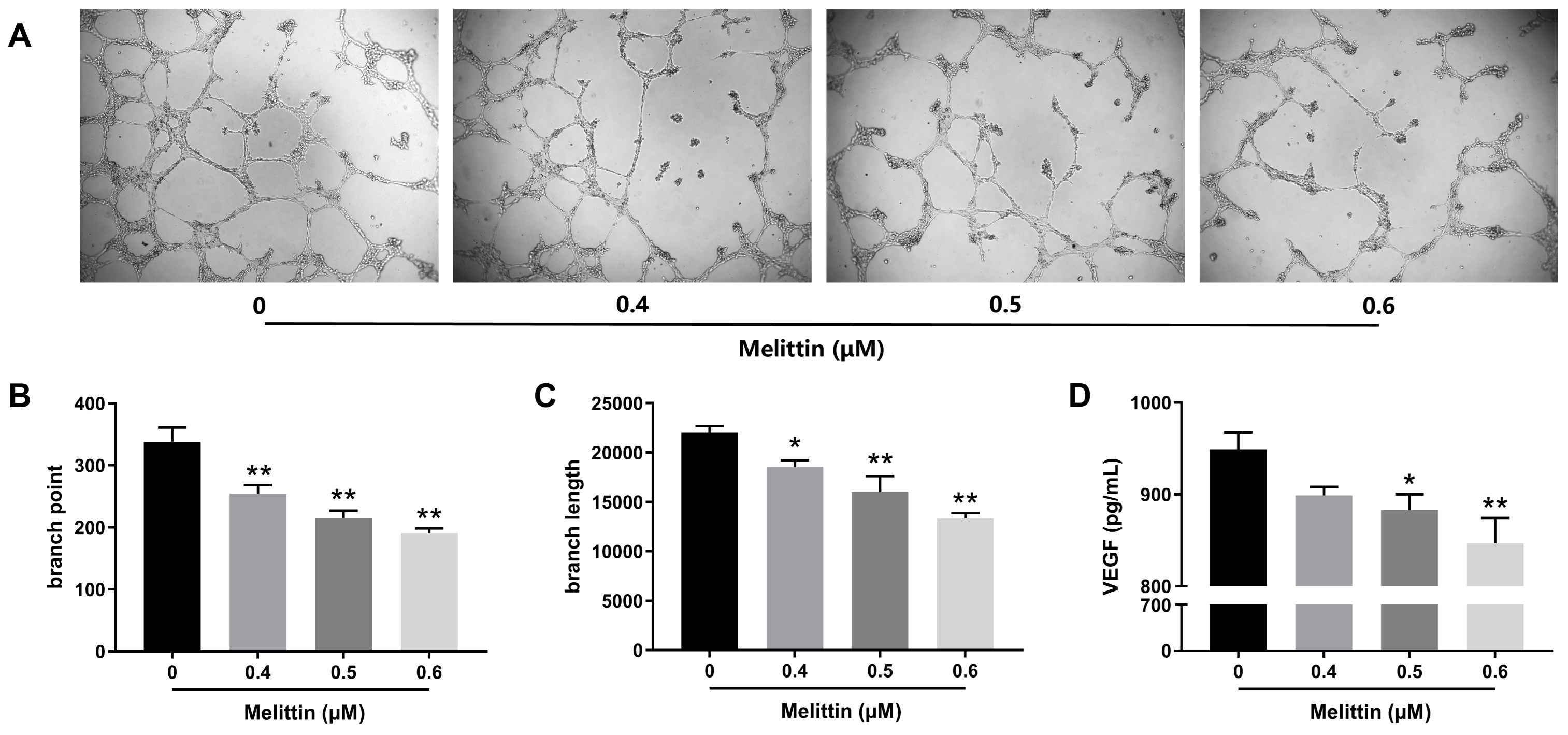 Ijms 25 11686 g009 Ijms 25 11686 g009