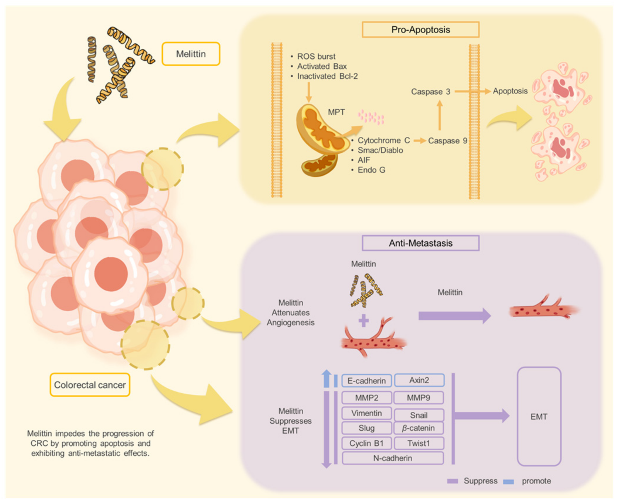 Ijms 25 11686 g010 Ijms 25 11686 g010