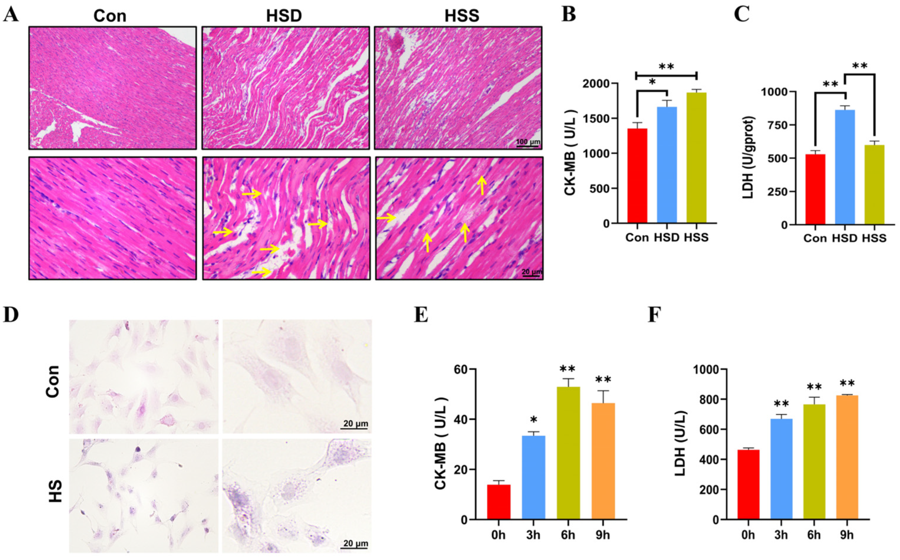Ijms 25 11695 g001 Ijms 25 11695 g001