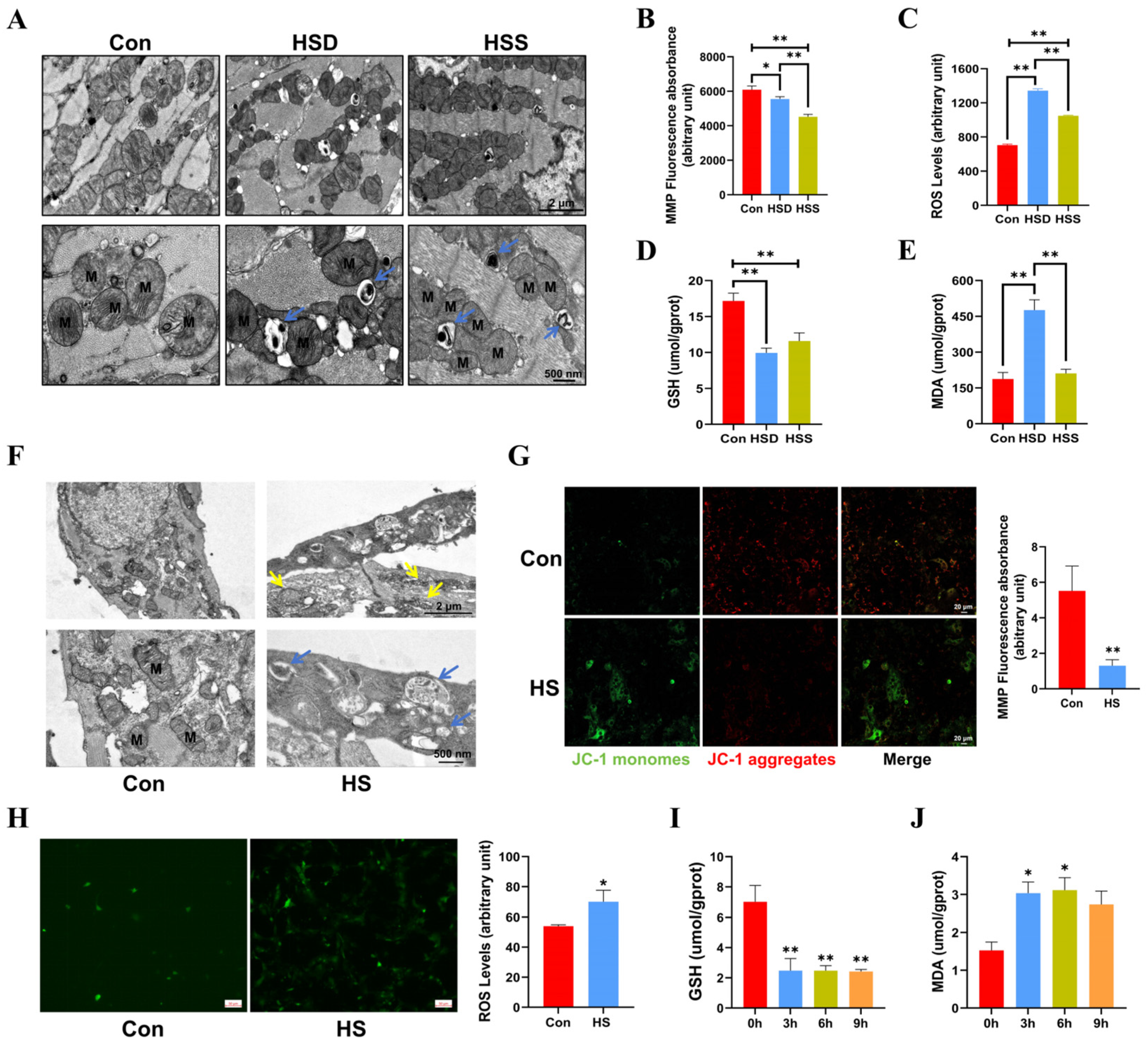 Ijms 25 11695 g002 Ijms 25 11695 g002
