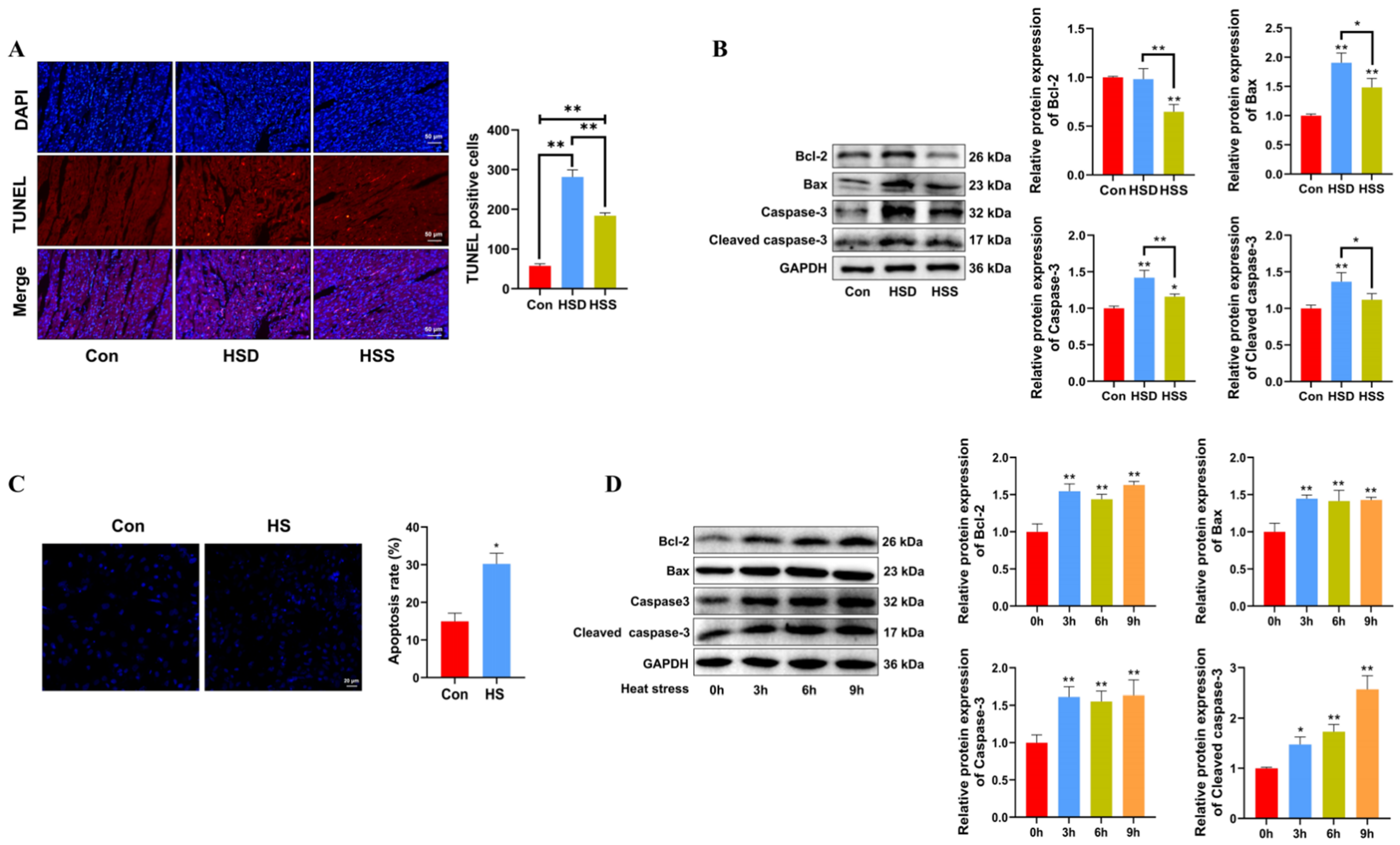Ijms 25 11695 g003 Ijms 25 11695 g003