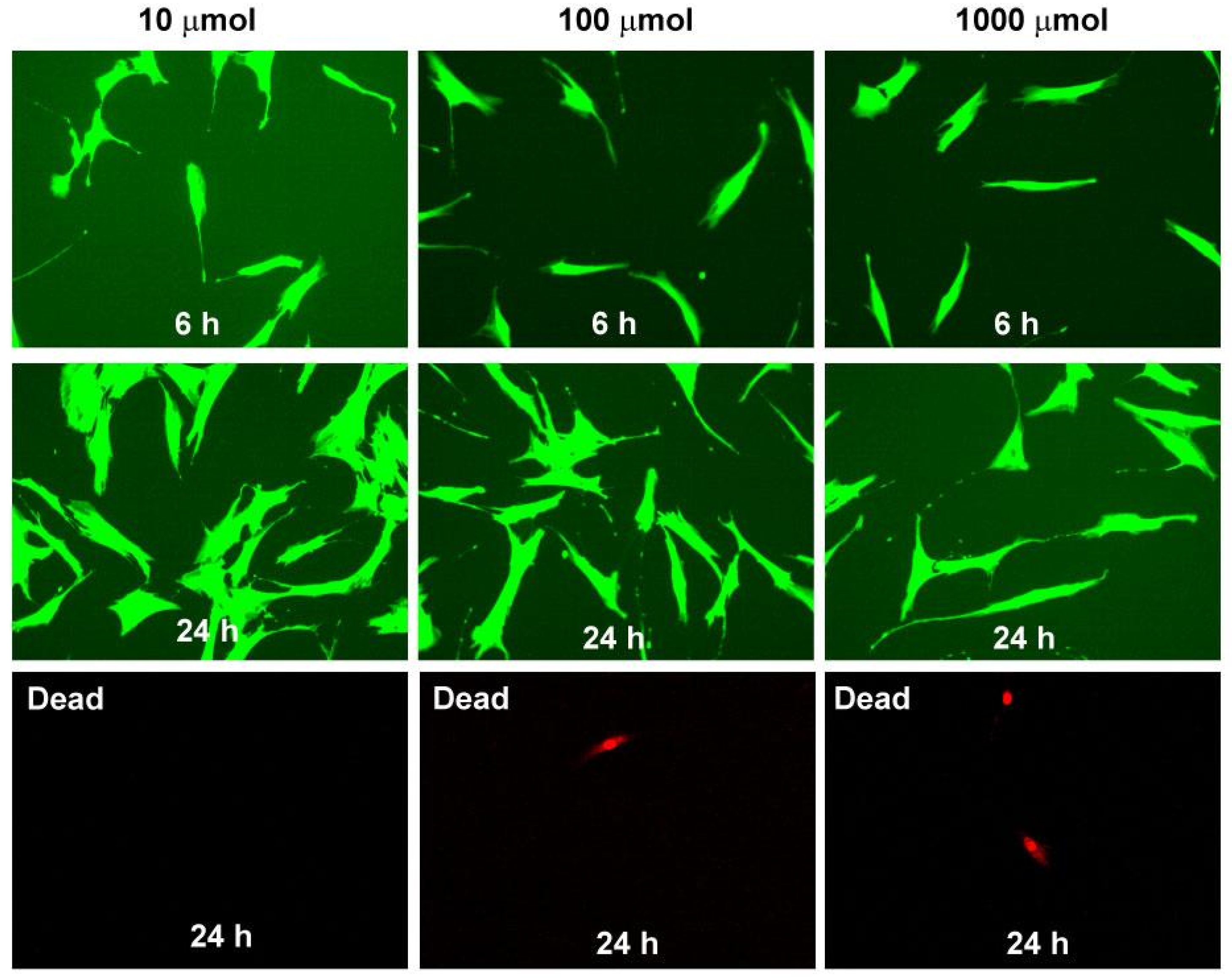 Ijms 25 11753 g005 Ijms 25 11753 g005