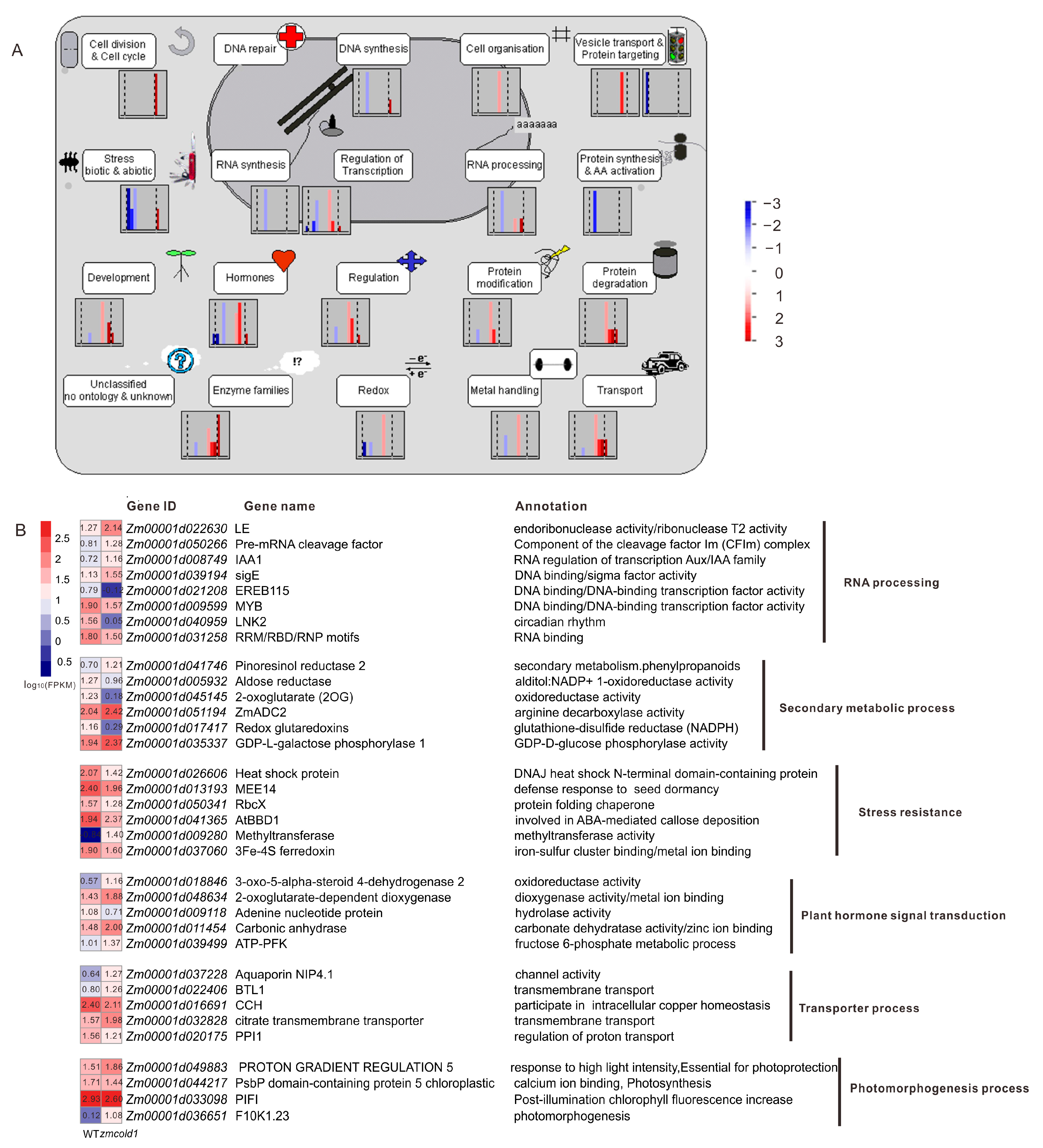 Ijms 25 11755 g011 Ijms 25 11755 g011