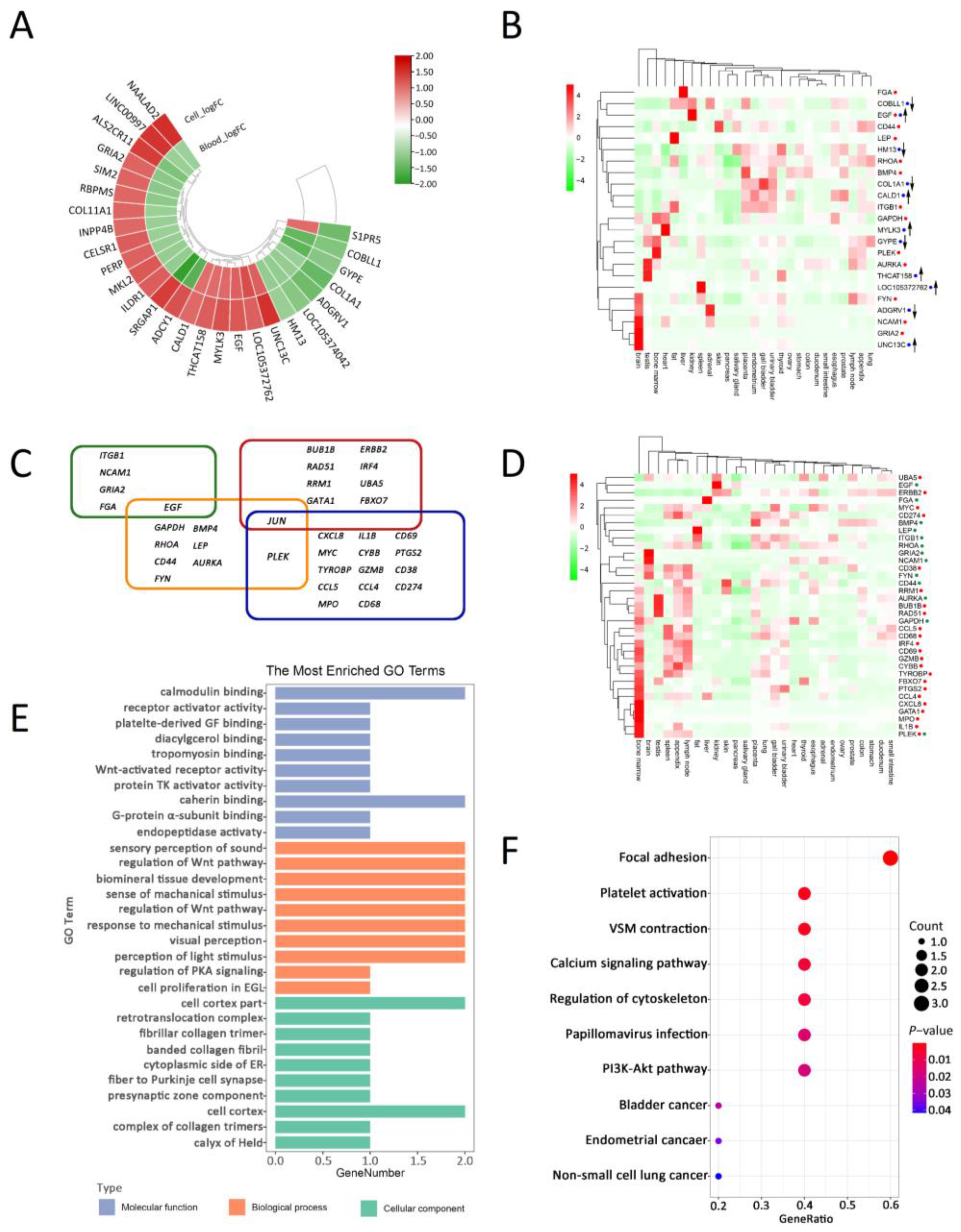 Ijms 25 11757 g002 Ijms 25 11757 g002